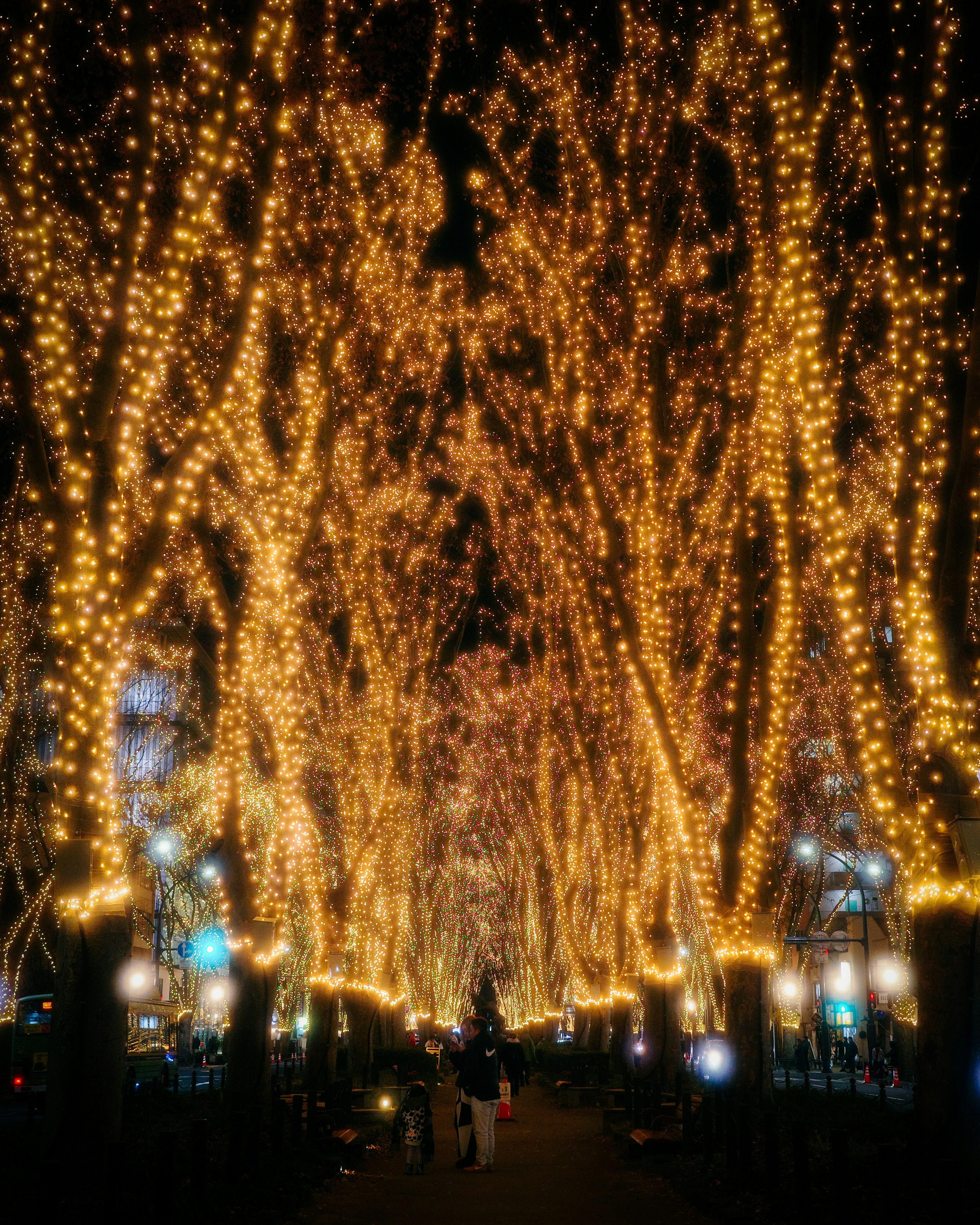 Tunnel of trees adorned with glowing lights at night