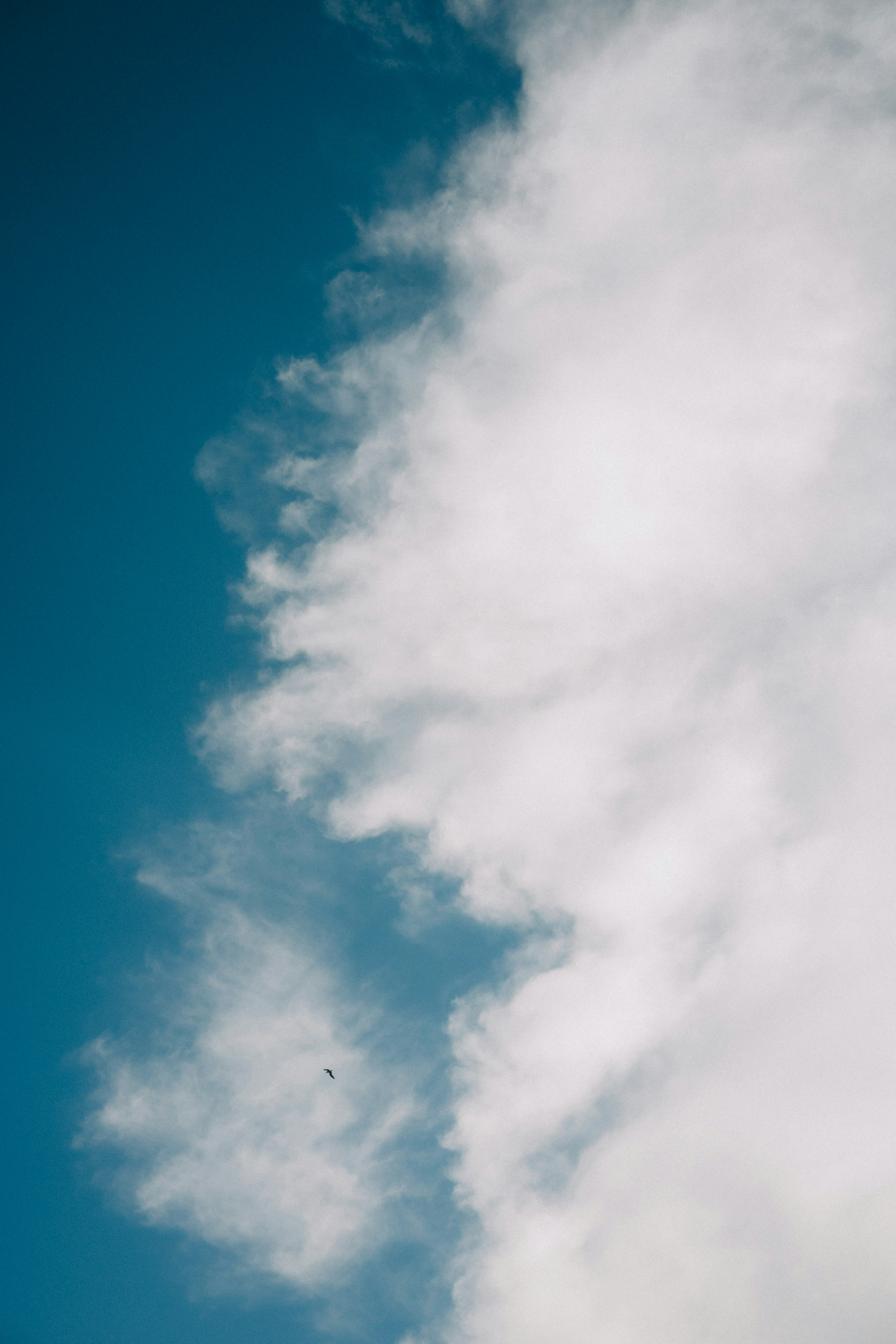 Gros plan partiel de nuages blancs sur un ciel bleu