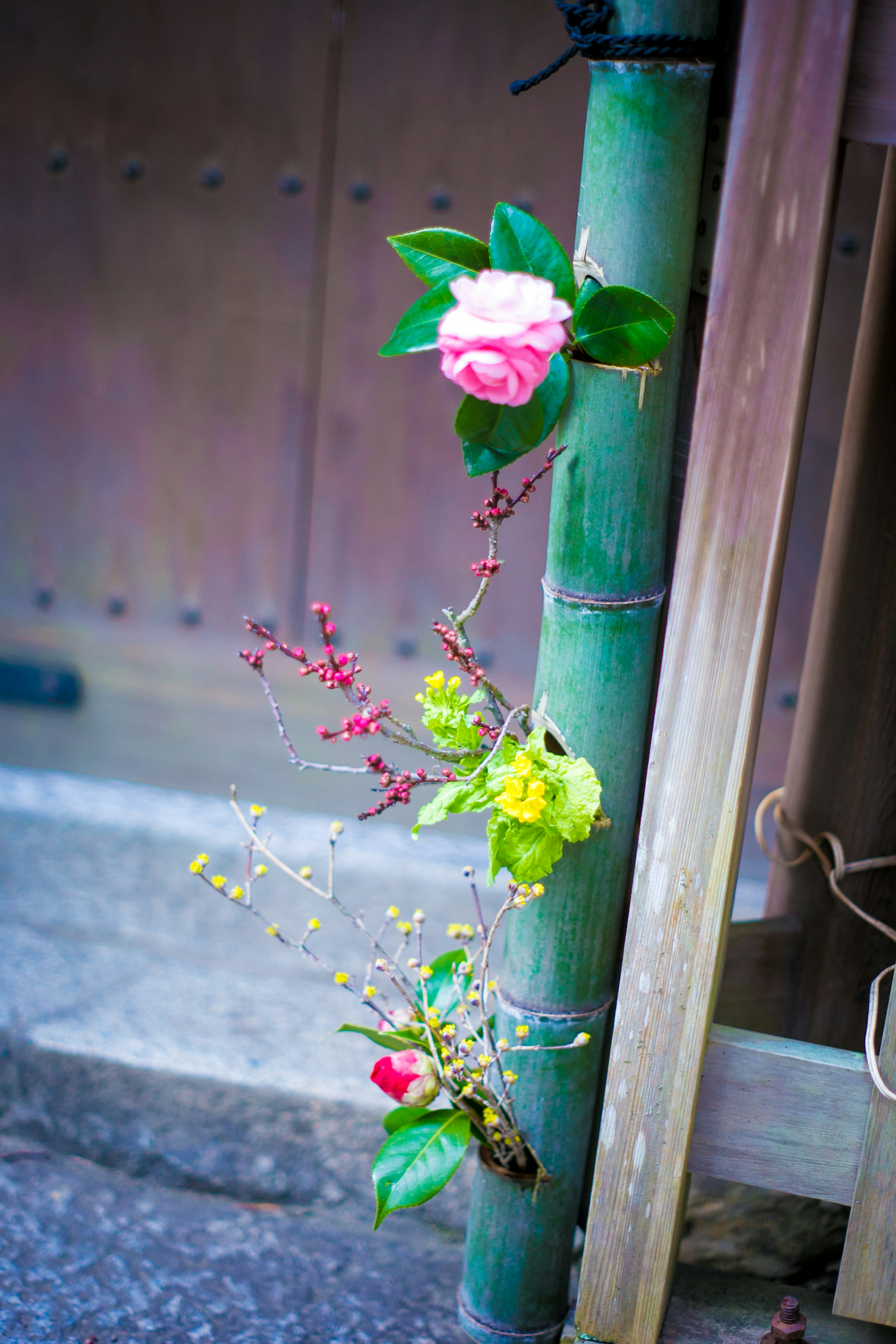 Composizione colorata di fiori e foglie su bambù