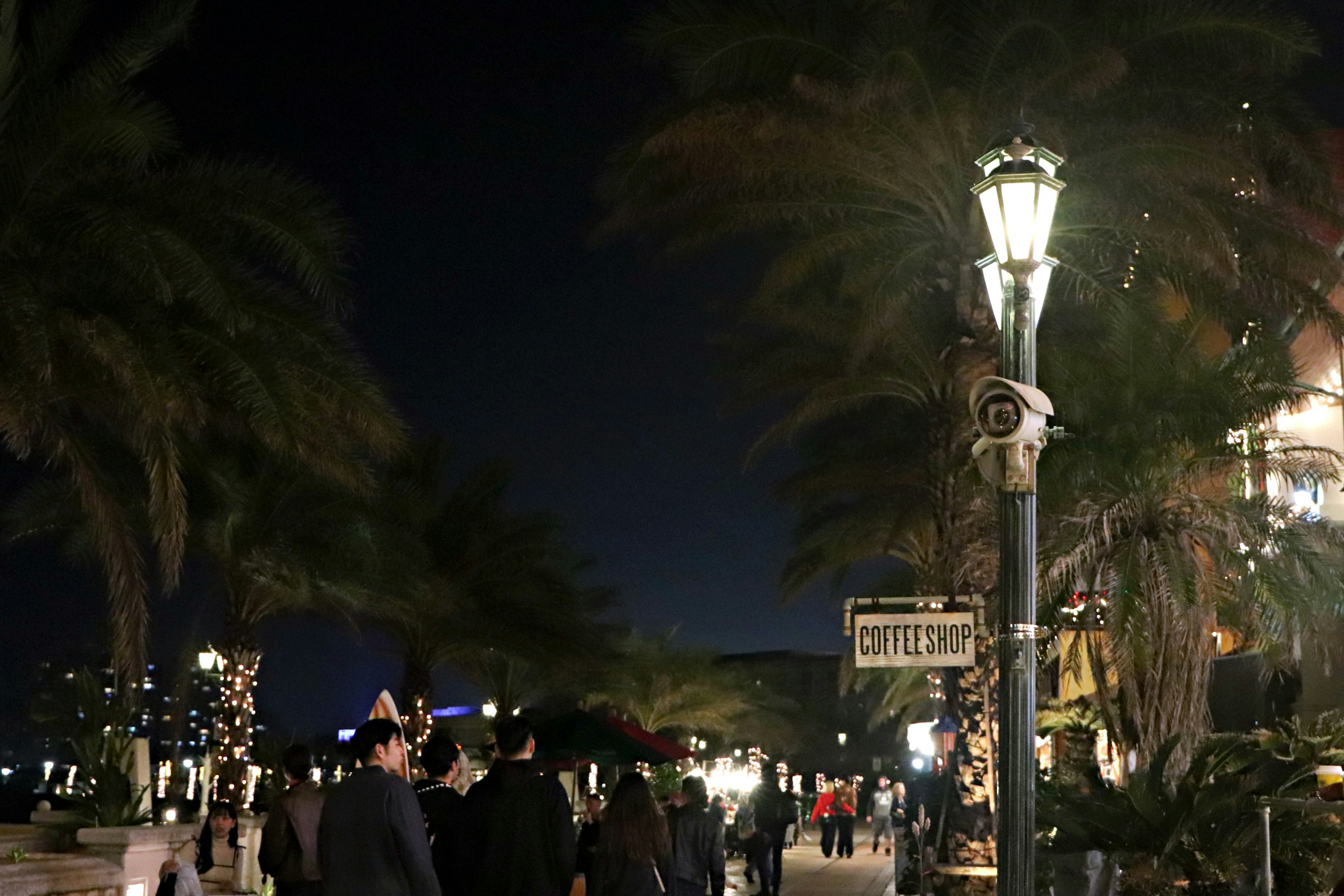 Persone che camminano lungo una strada costiera di notte con lampioni e palme