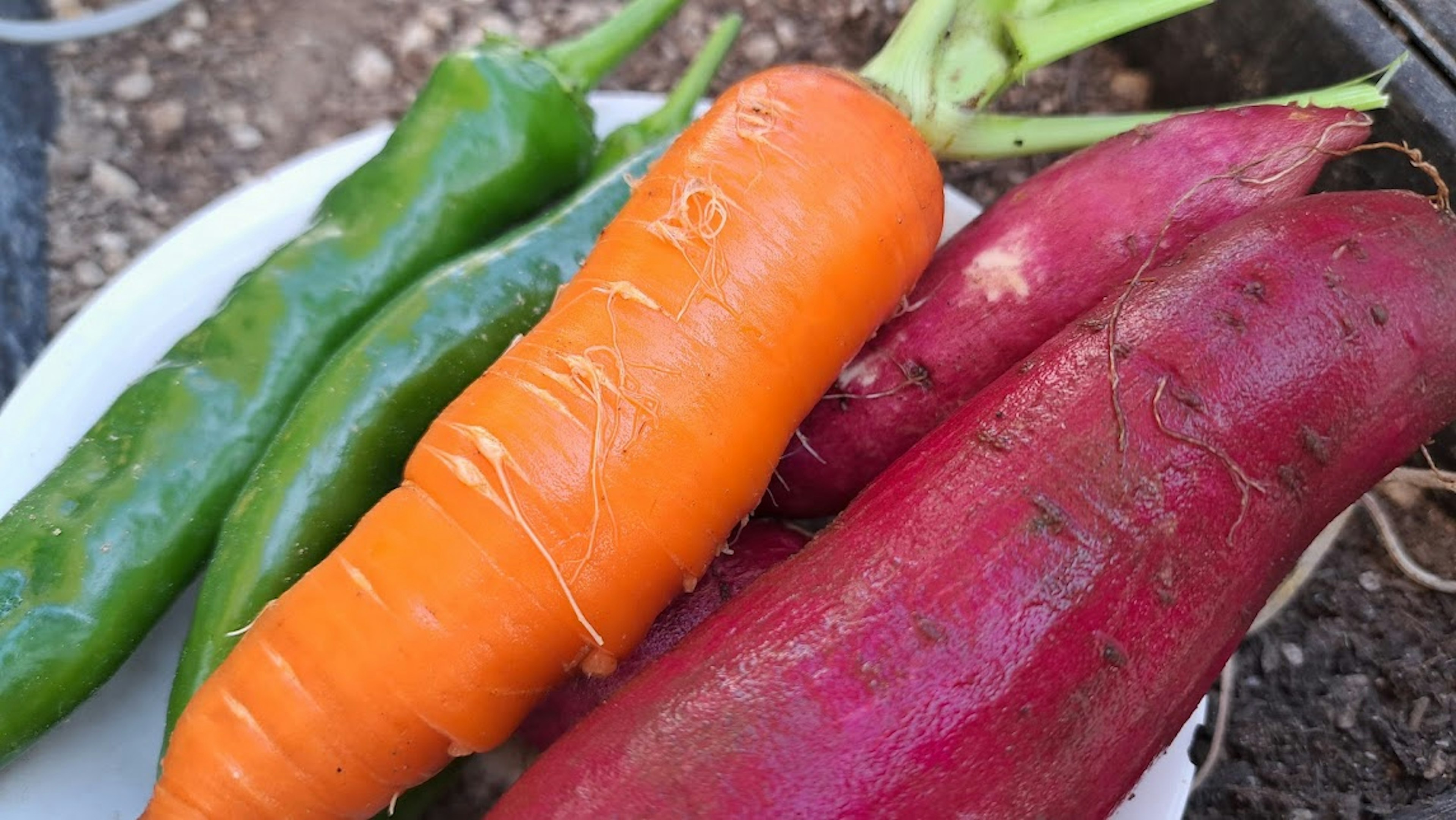 Green chili peppers, orange carrot, and purple sweet potato placed on a plate