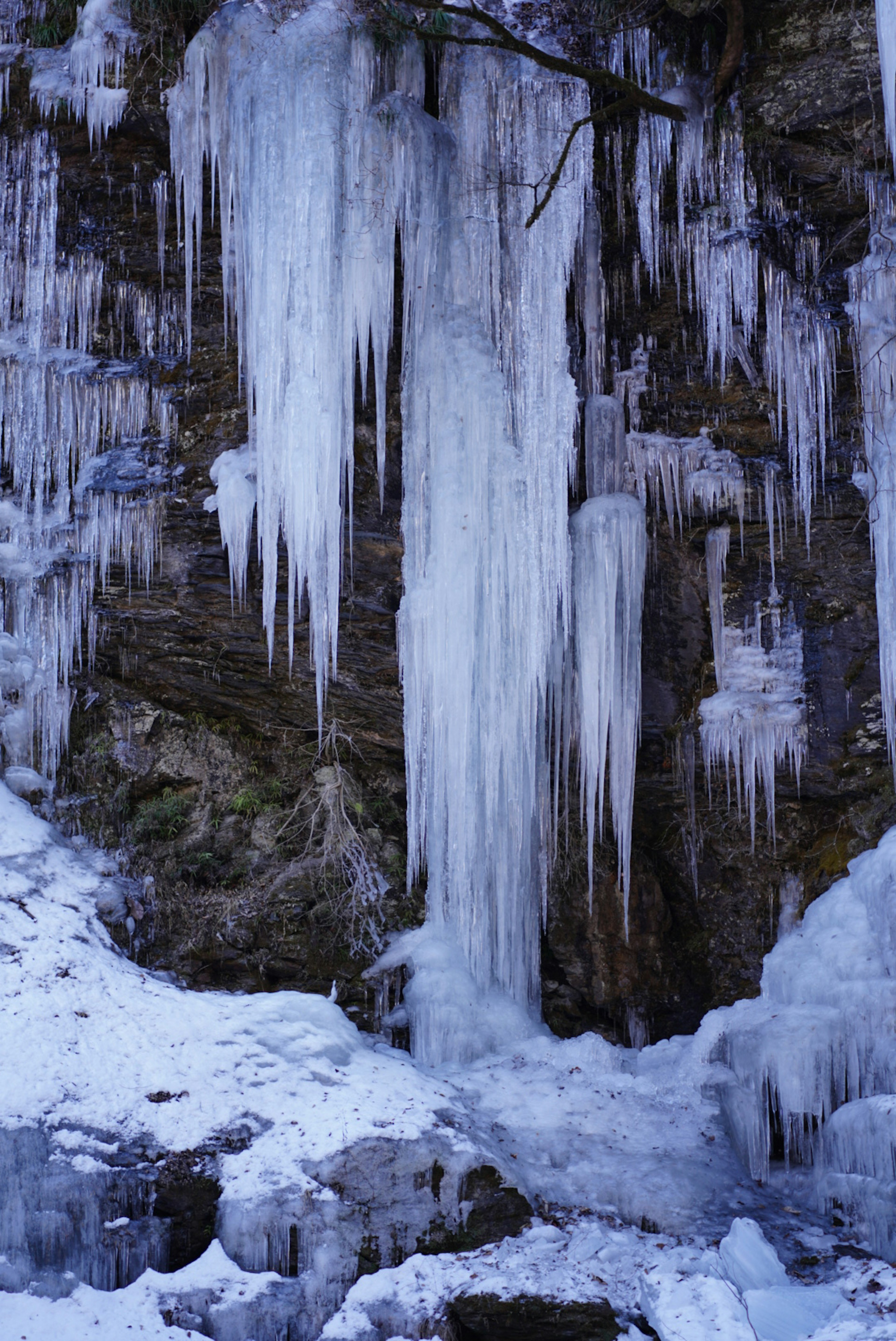 Những icicles treo từ bề mặt đá trong cảnh mùa đông