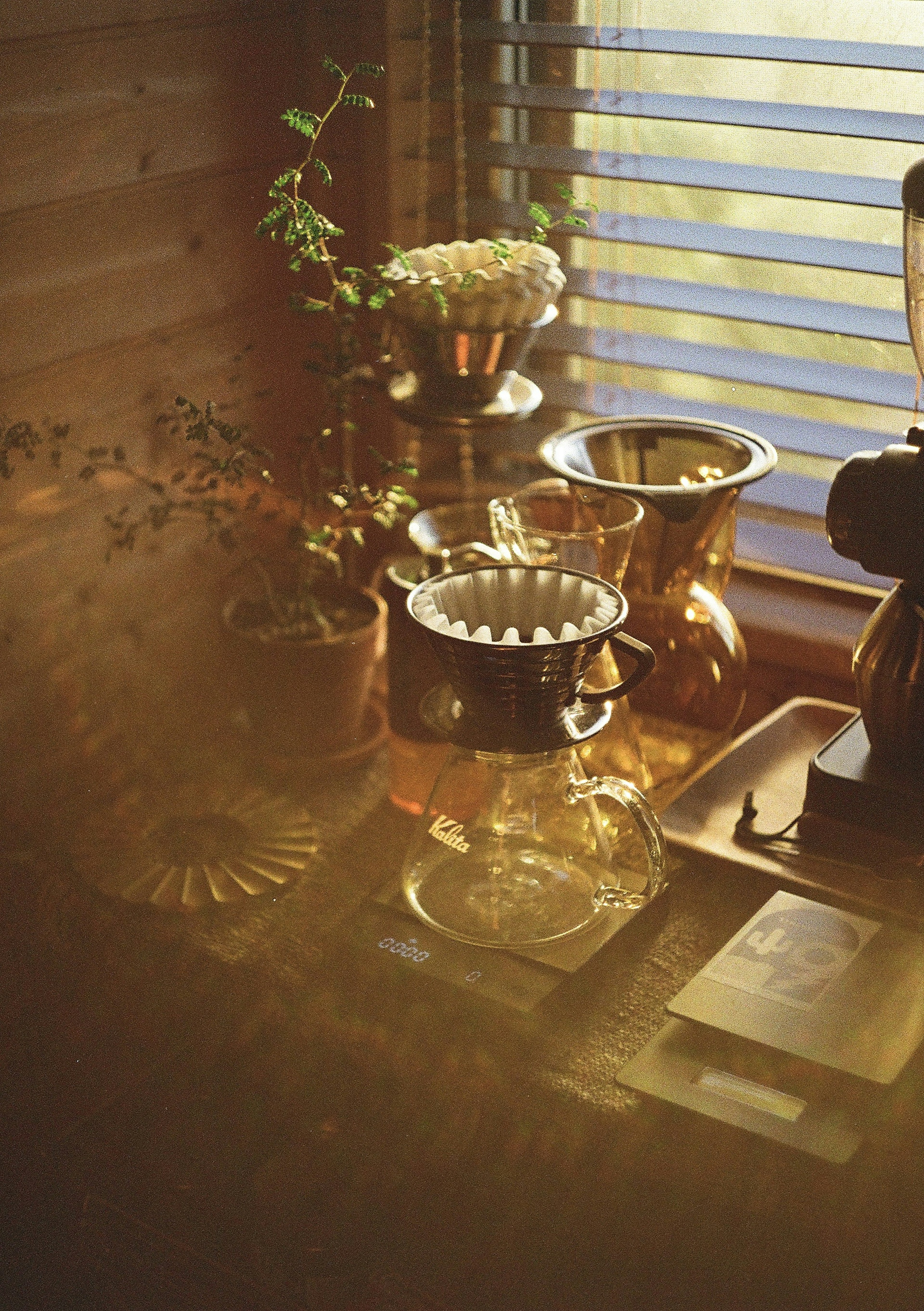 A serene scene featuring metallic vessels and plants on a windowsill