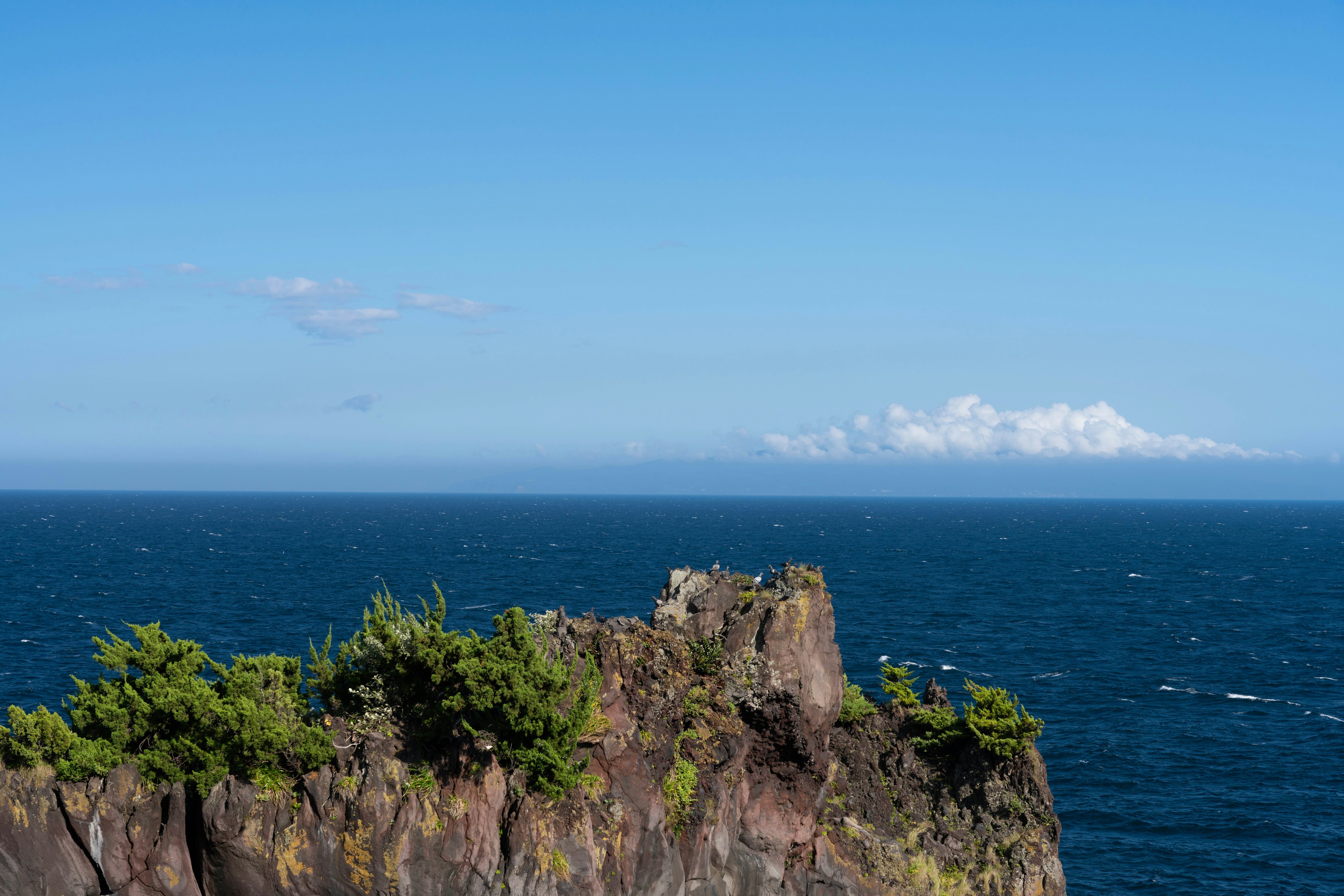 Eine felsige Klippe mit Grün, die über einen blauen Ozean unter einem klaren Himmel blickt