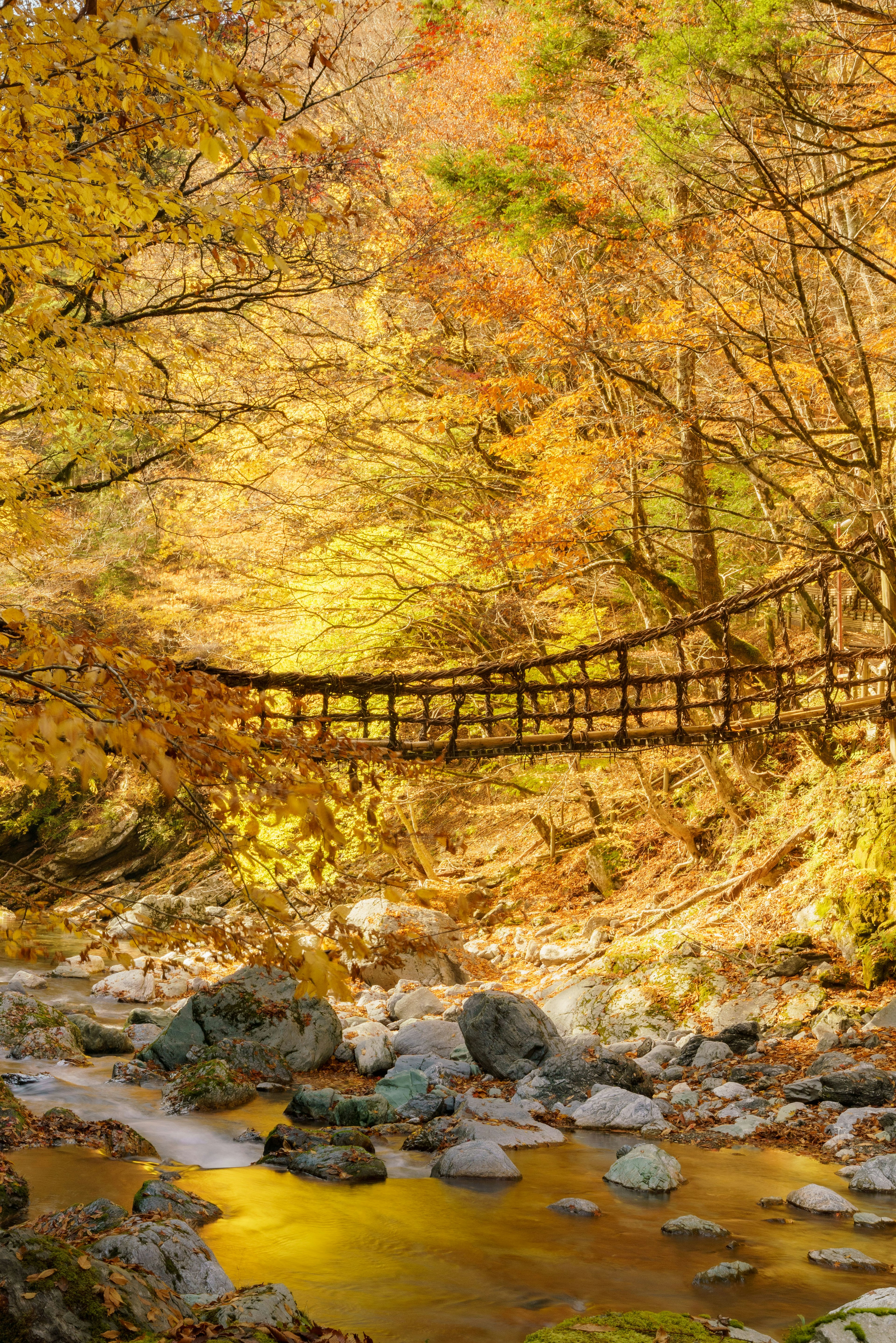 Ponte in legno su un fiume circondato da foglie autunnali