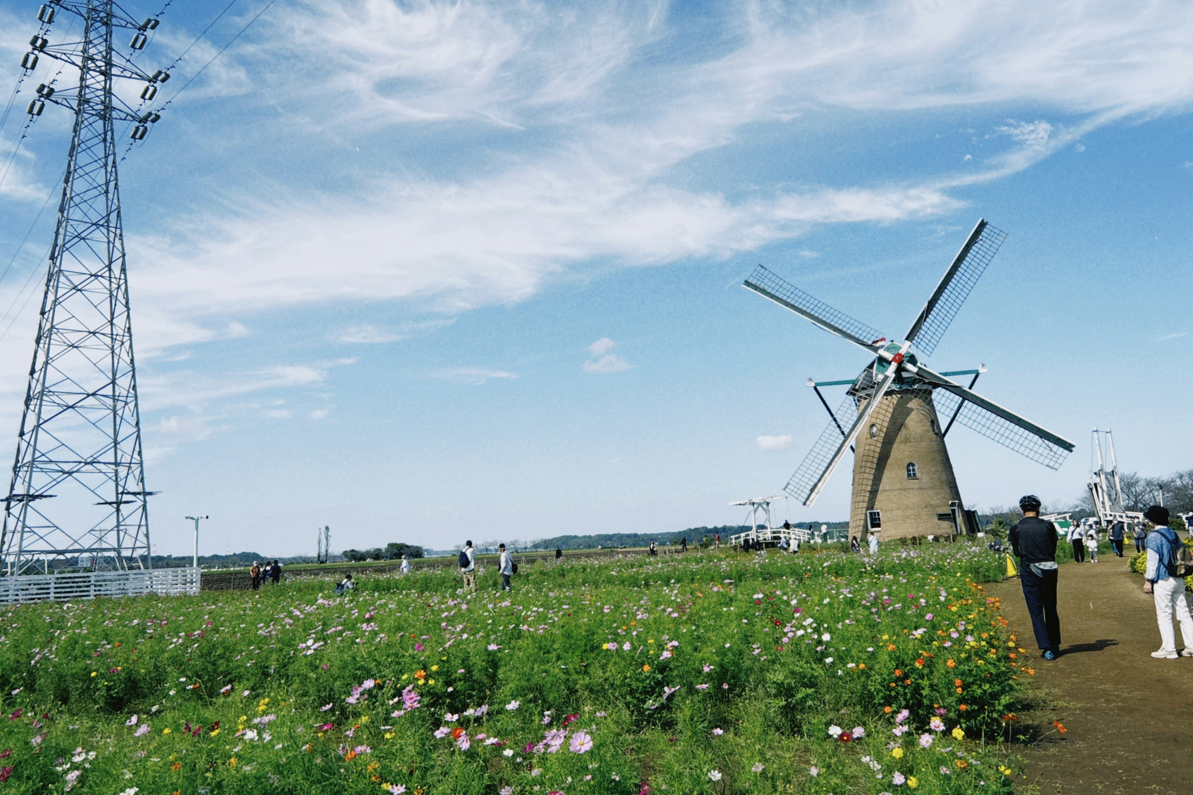 Landscape featuring a windmill and flower field under a blue sky