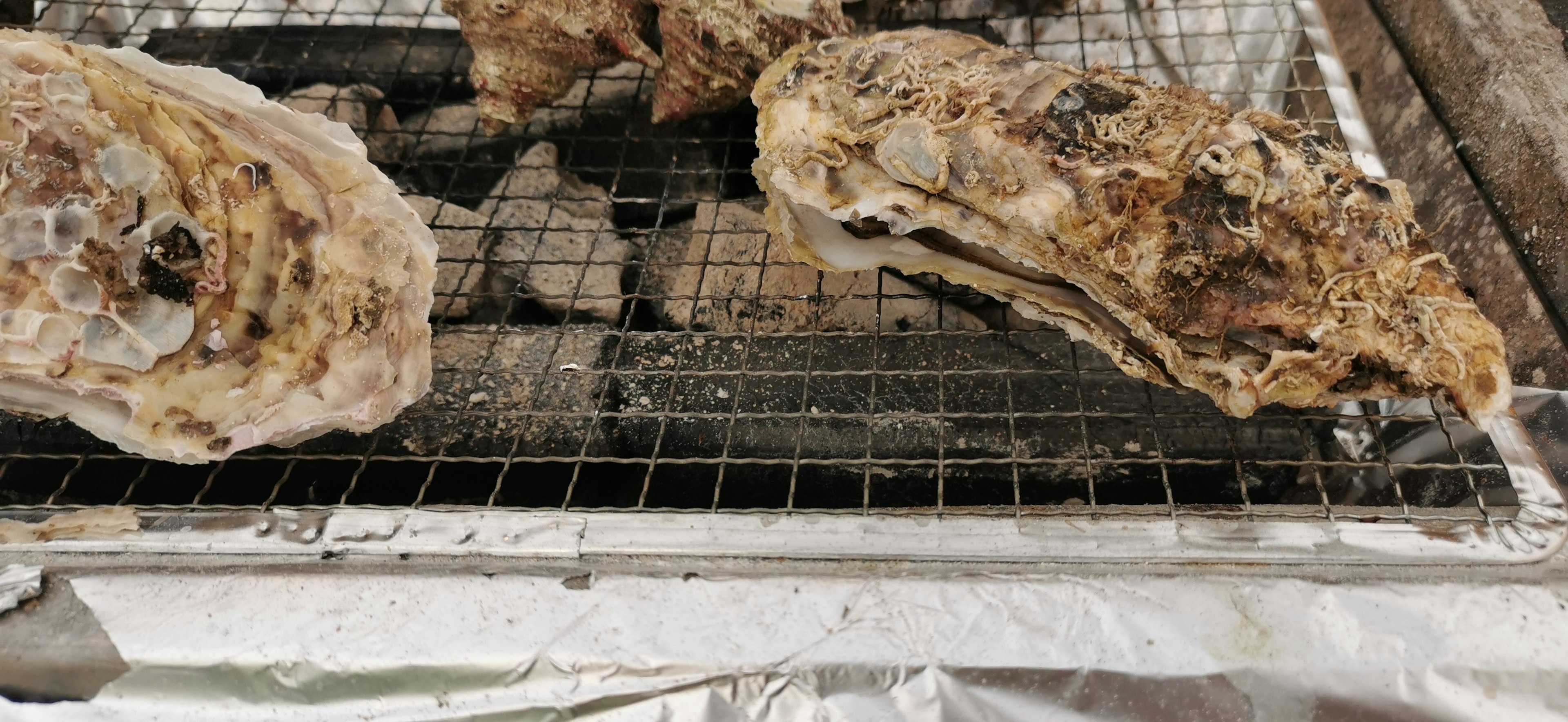 Ostras a la parrilla en una parrilla con bordes carbonizados