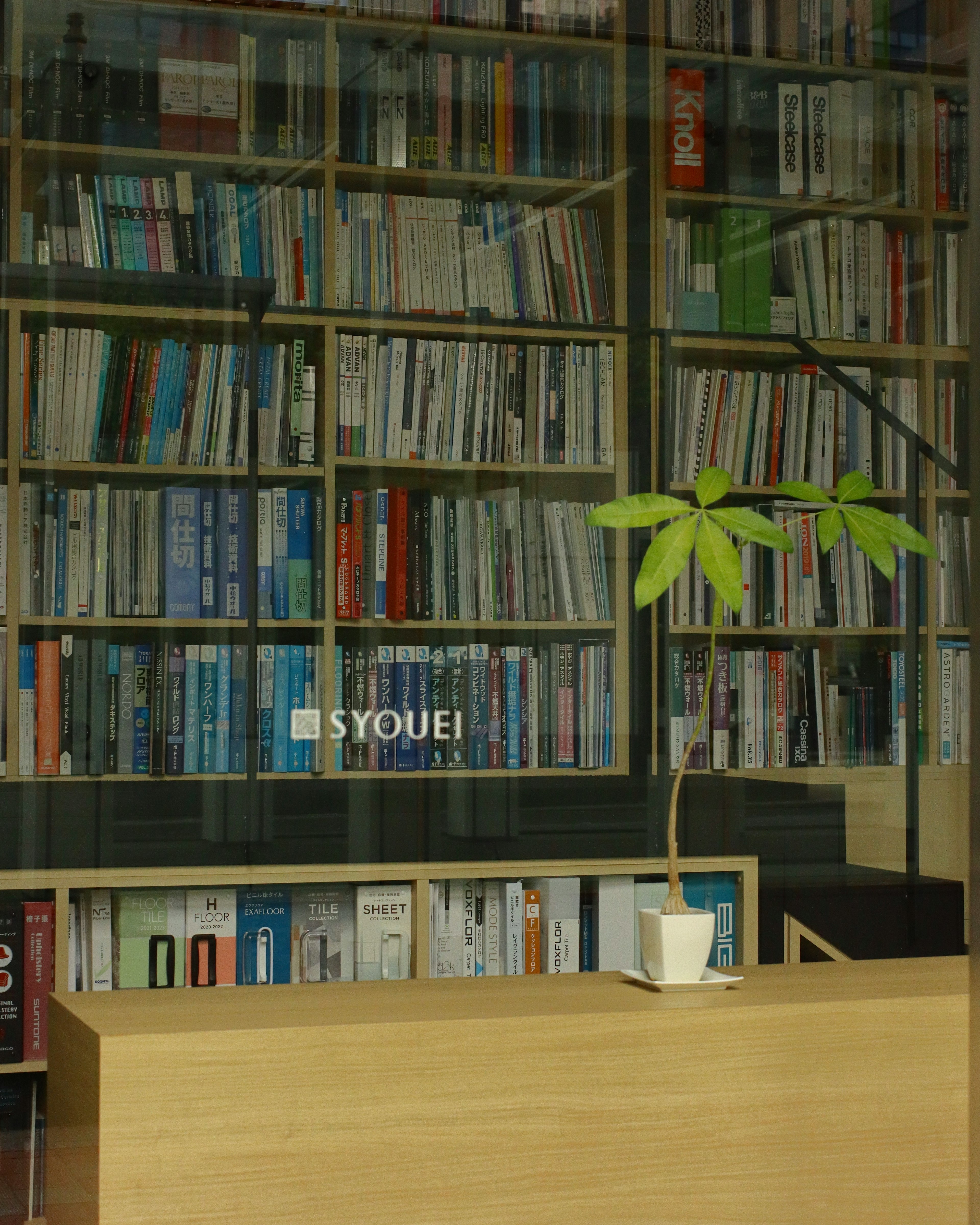 A quiet library with a simple desk and a plant surrounded by bookshelves