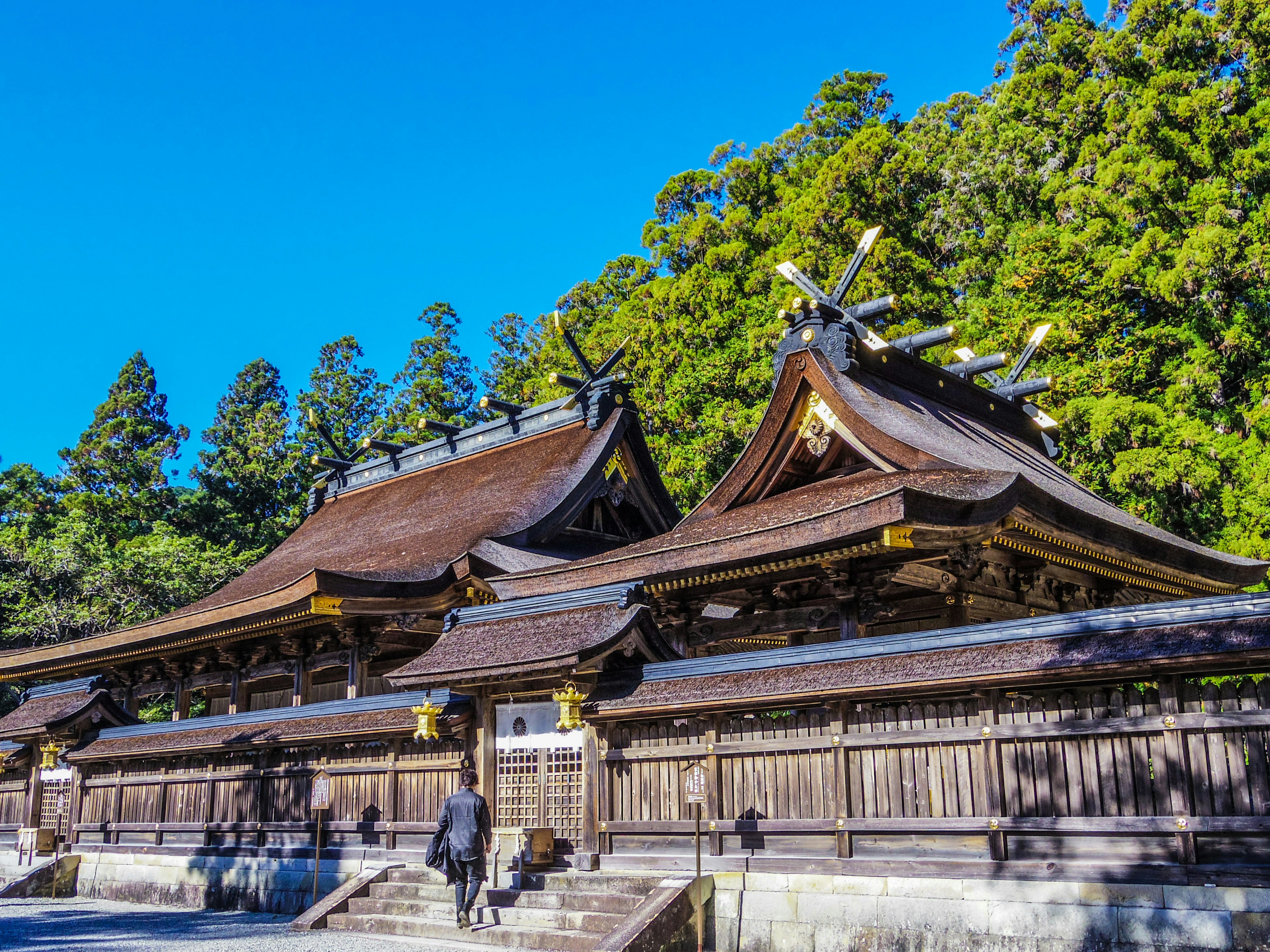 A beautiful shrine building under a blue sky surrounded by green trees