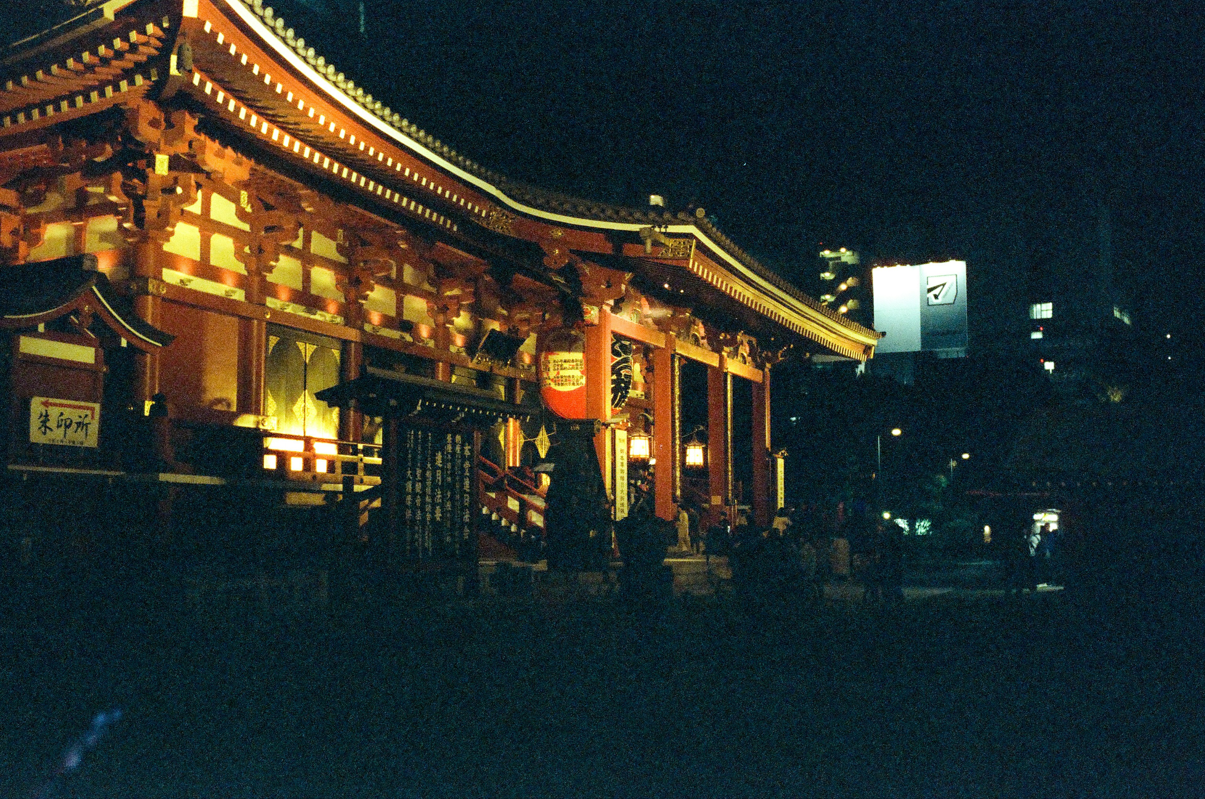 夜間照亮的美麗神社建築