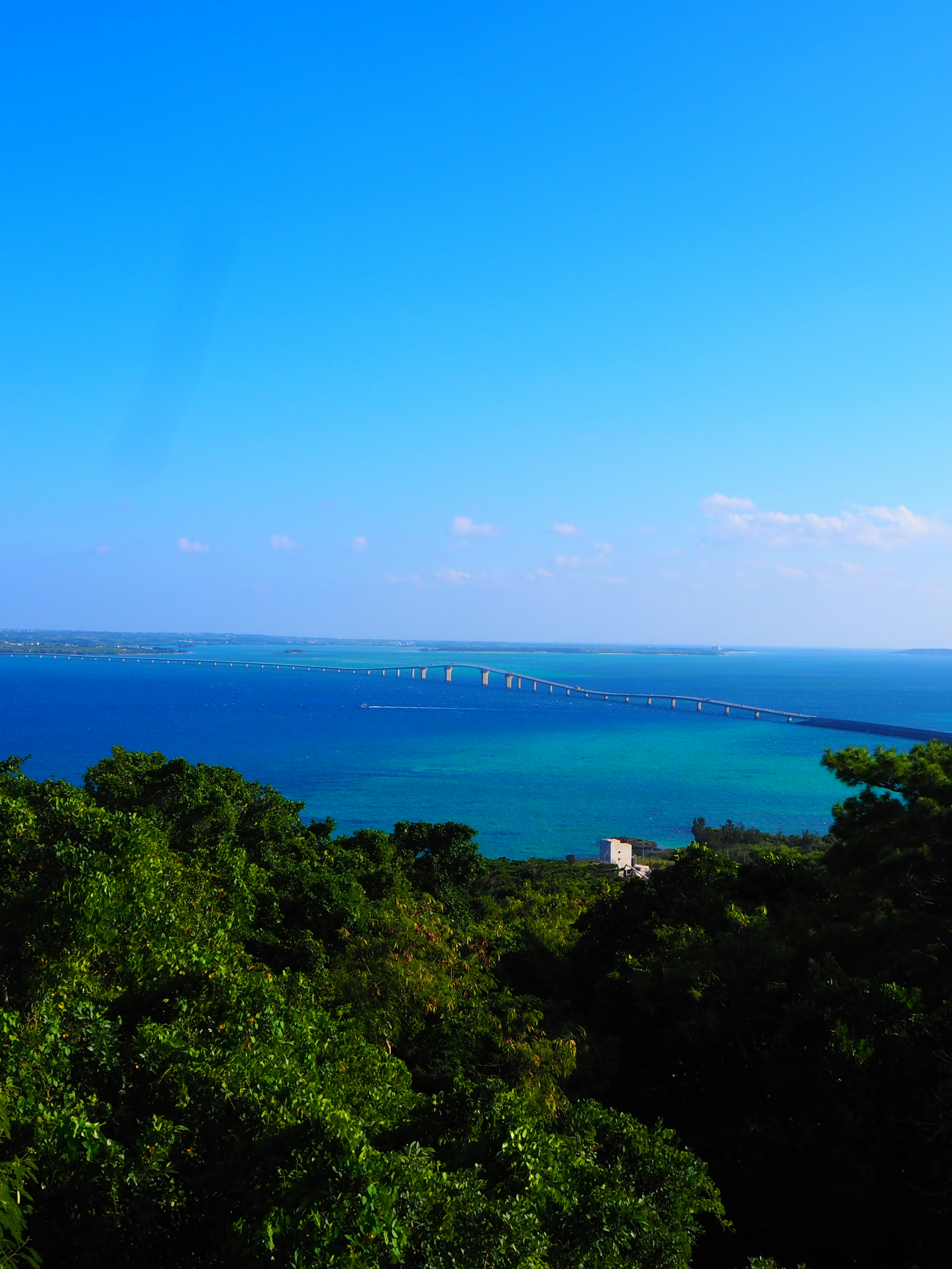 Beautiful landscape with blue sea and green trees