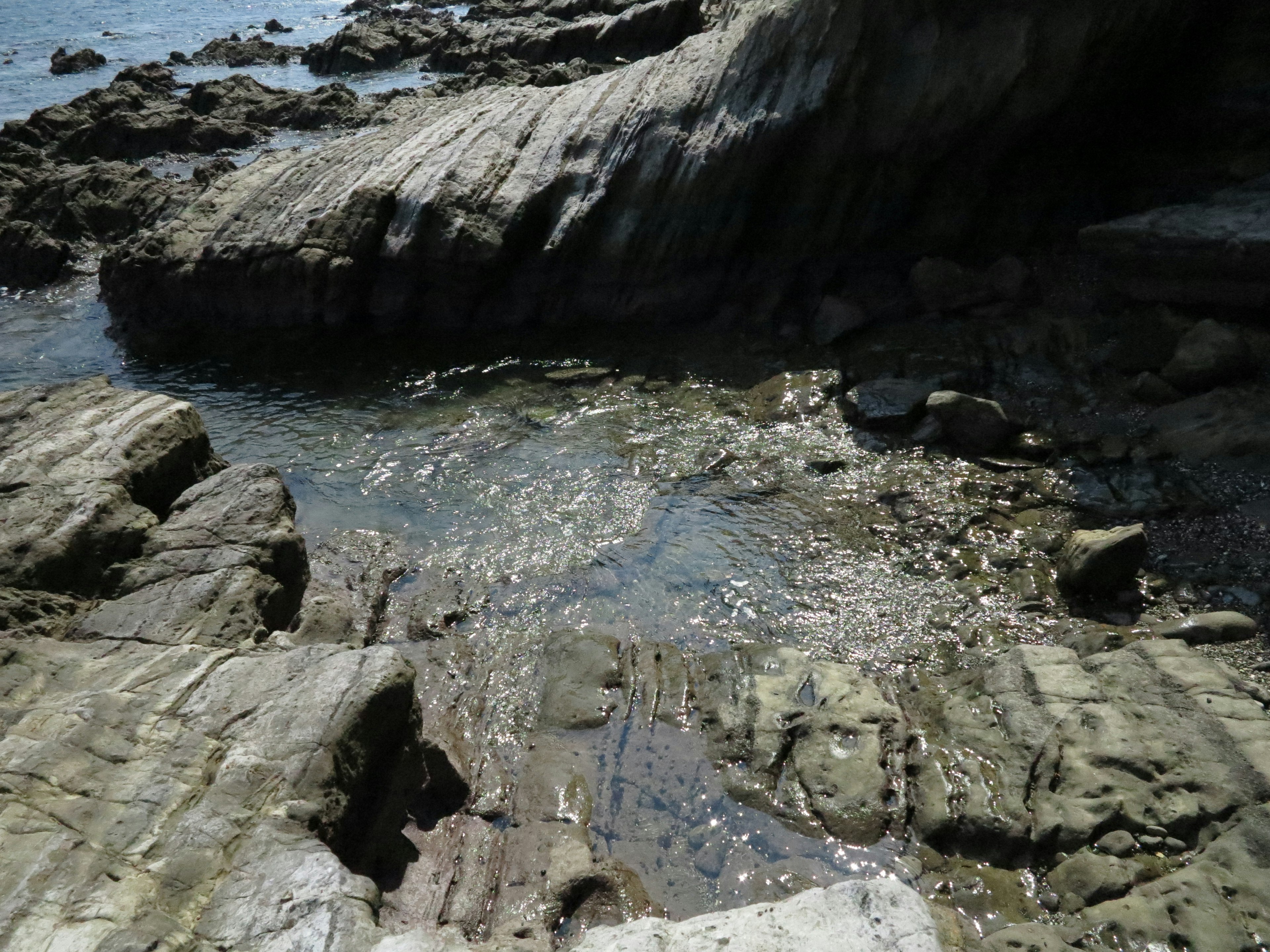 Rocky shoreline with tidal pool and light reflections