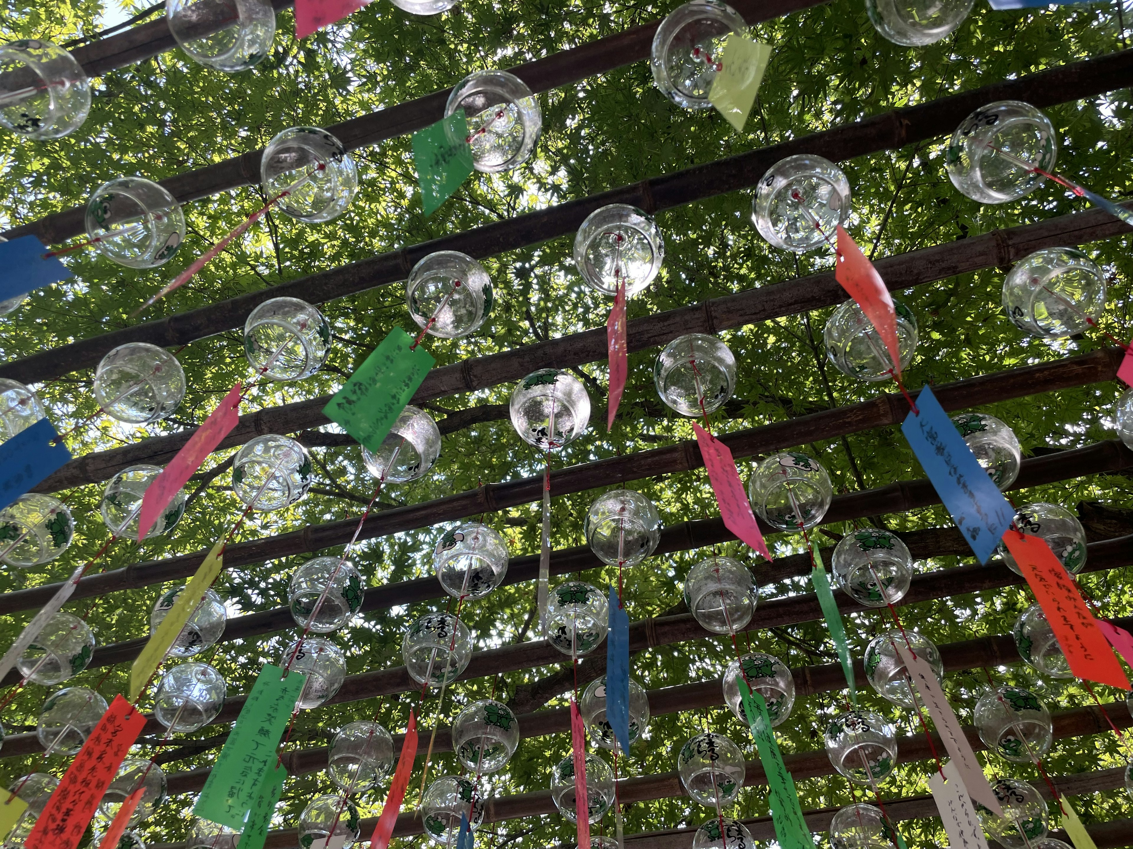 Vue de carillons en verre transparents suspendus sous des arbres verts