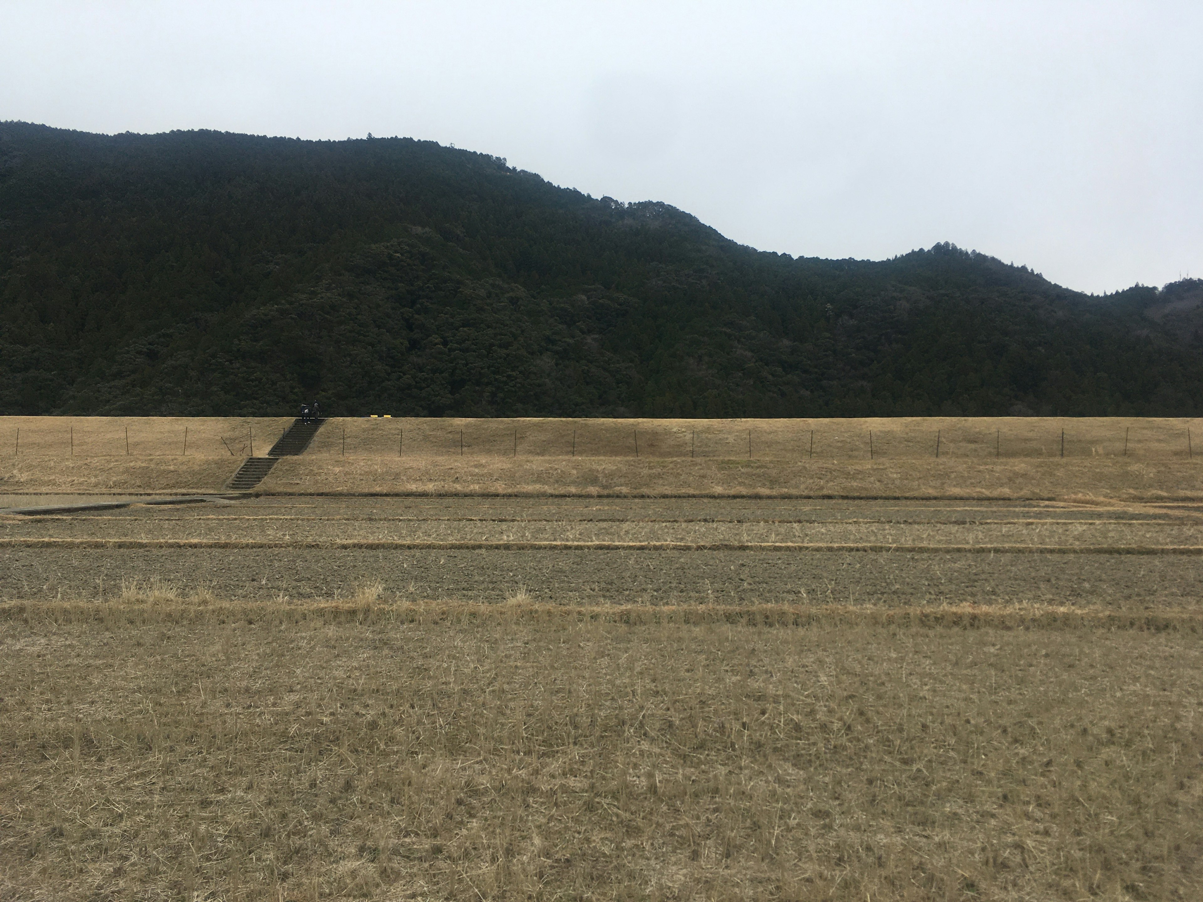 乾燥した田園風景と山の背景がある風景