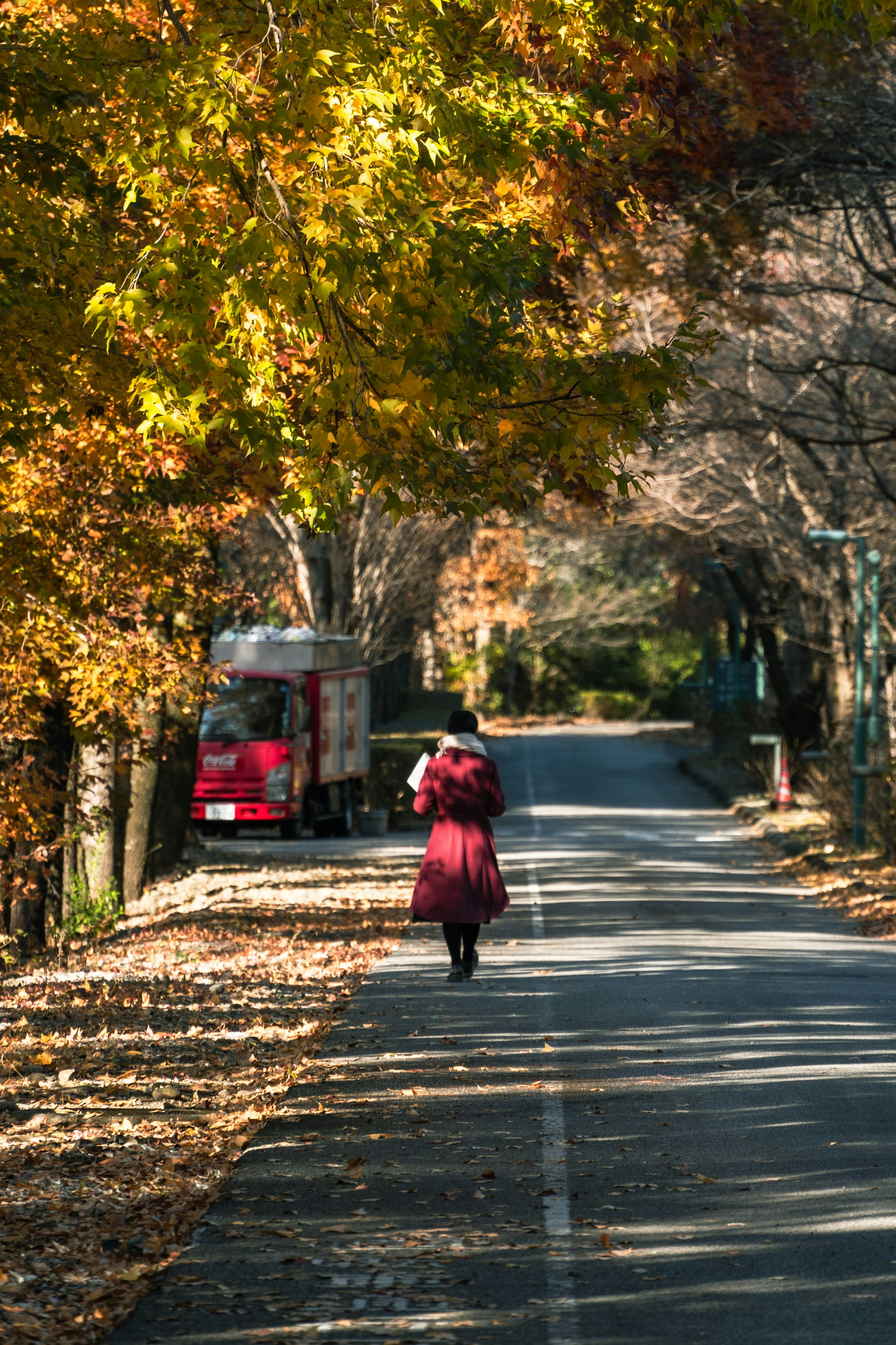 紅葉に囲まれた静かな道路を歩く女性