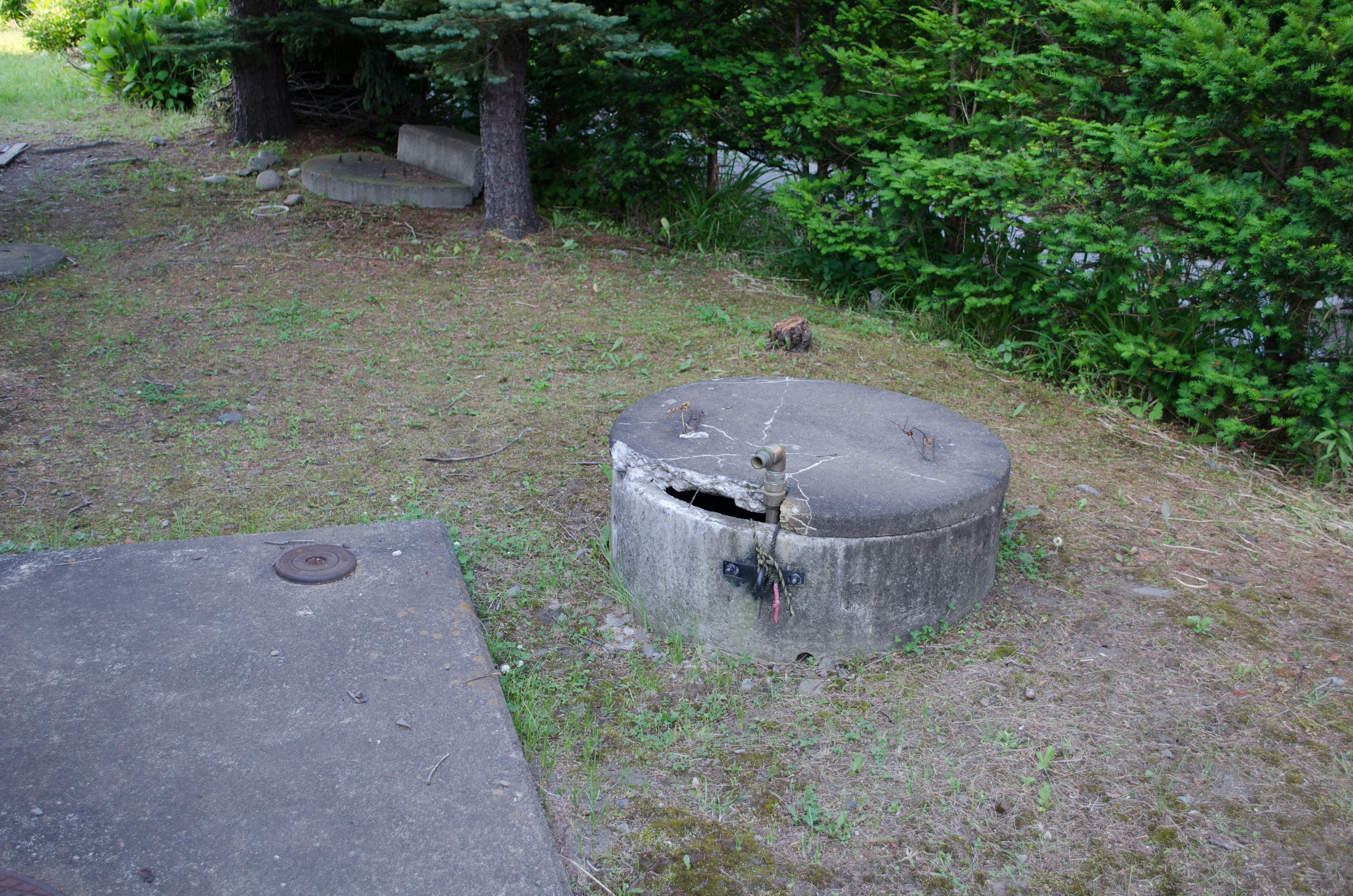 Concrete circular structure on grassy area surrounded by greenery