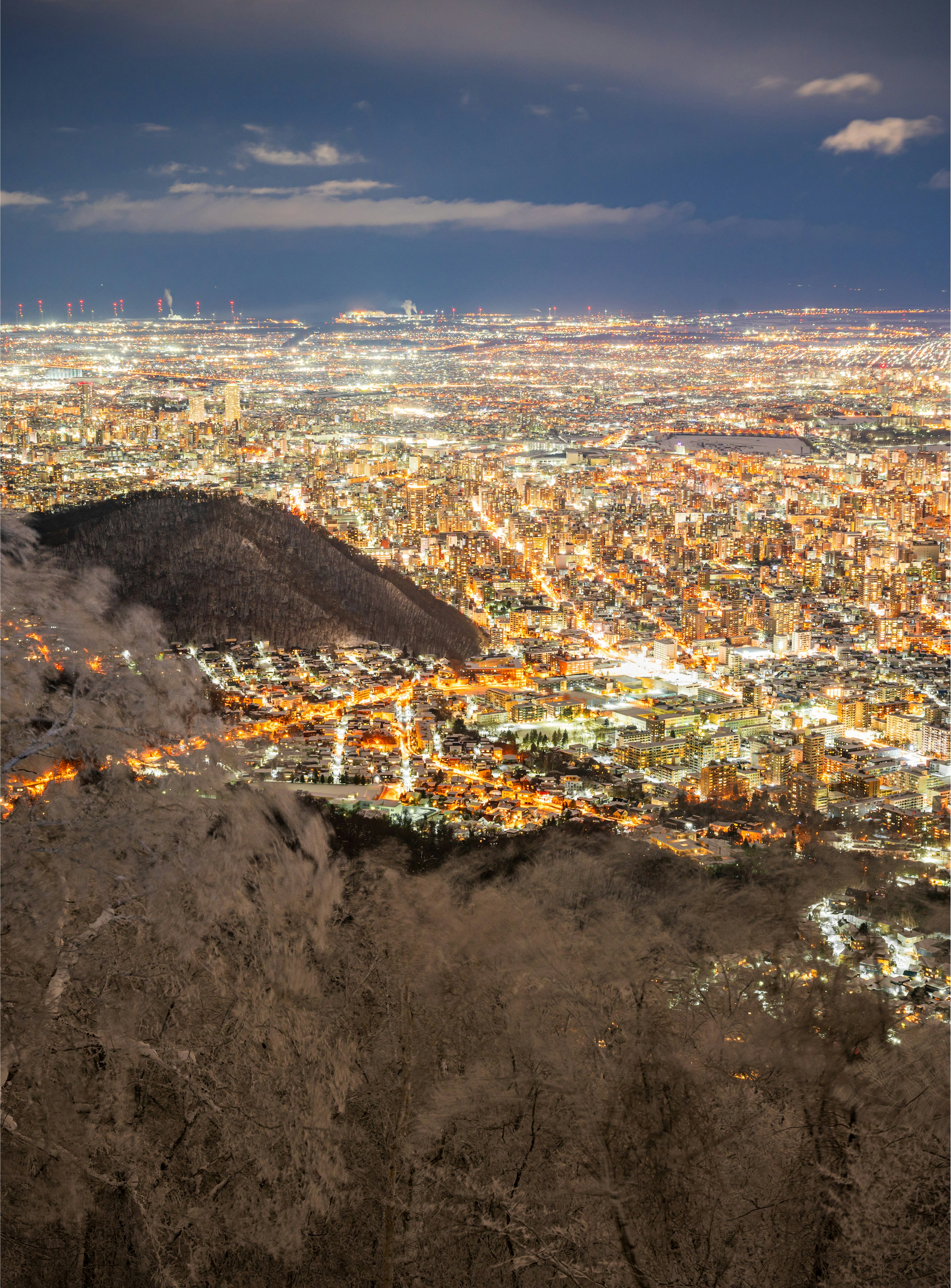 夜景の街並みが広がる美しい眺めと雪に覆われた山