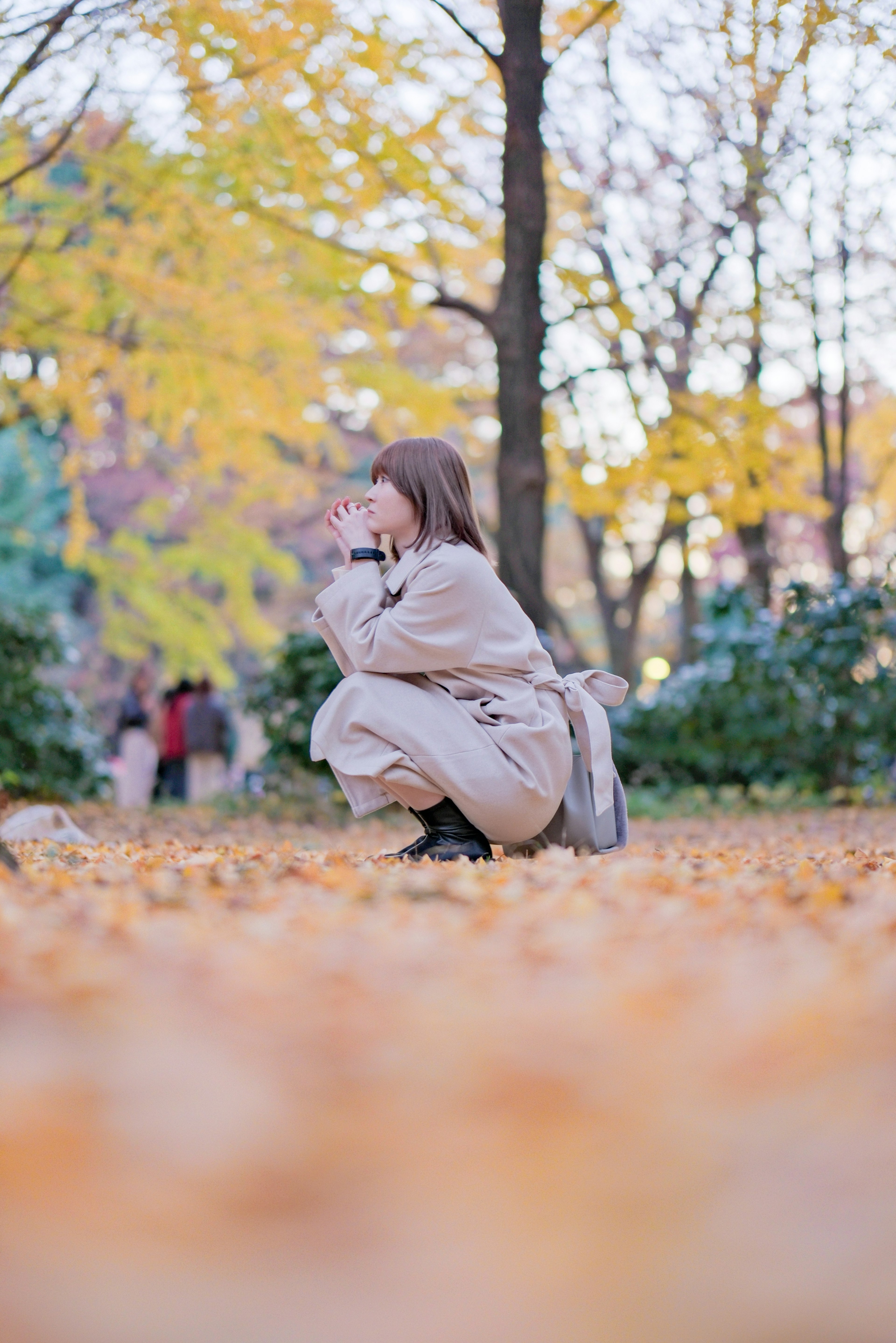 秋の公園でしゃがんでいる女性の写真周囲には黄色い葉が散らばっている