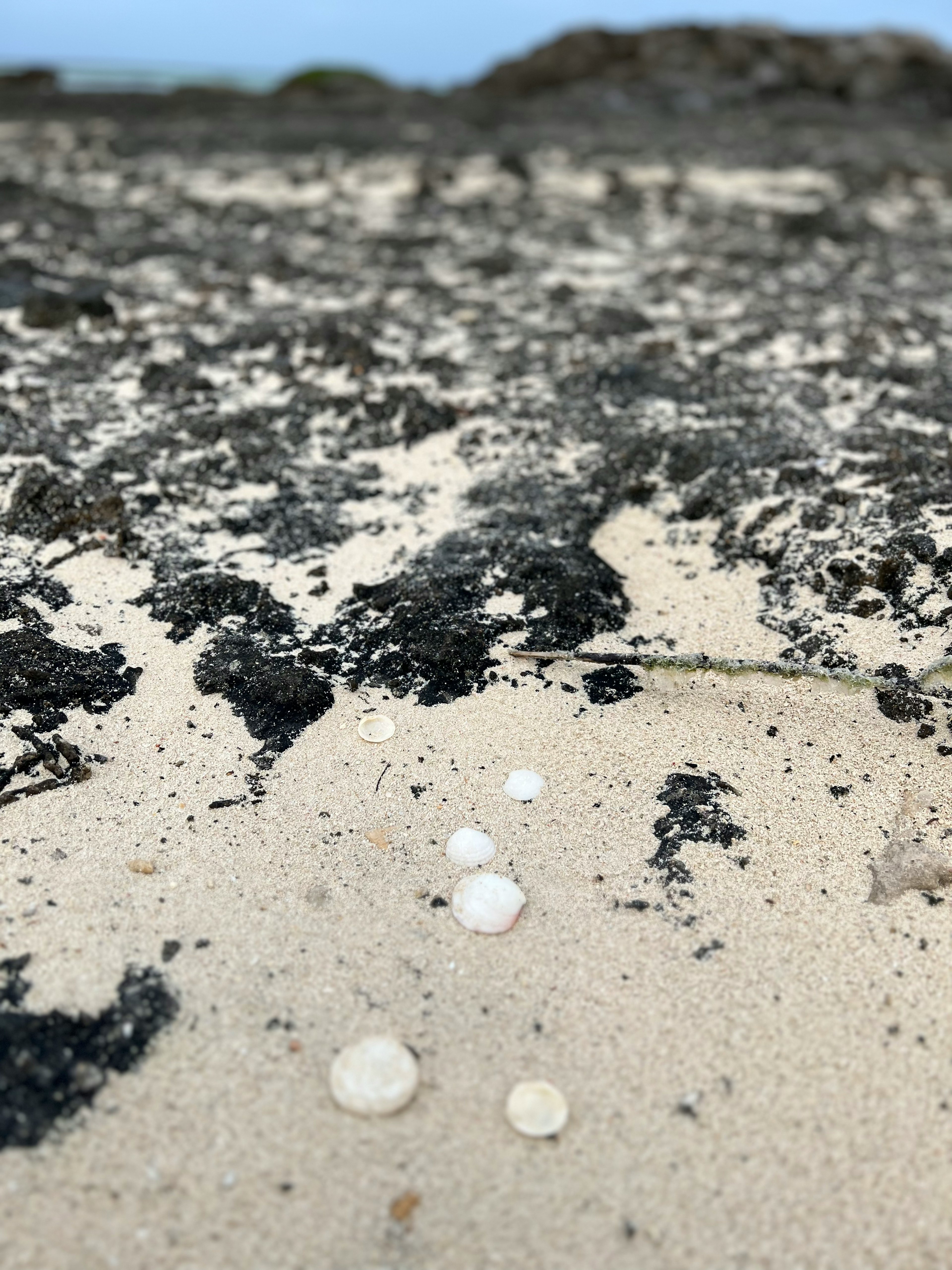 Primer plano de rocas negras y gotas de agua en una playa de arena