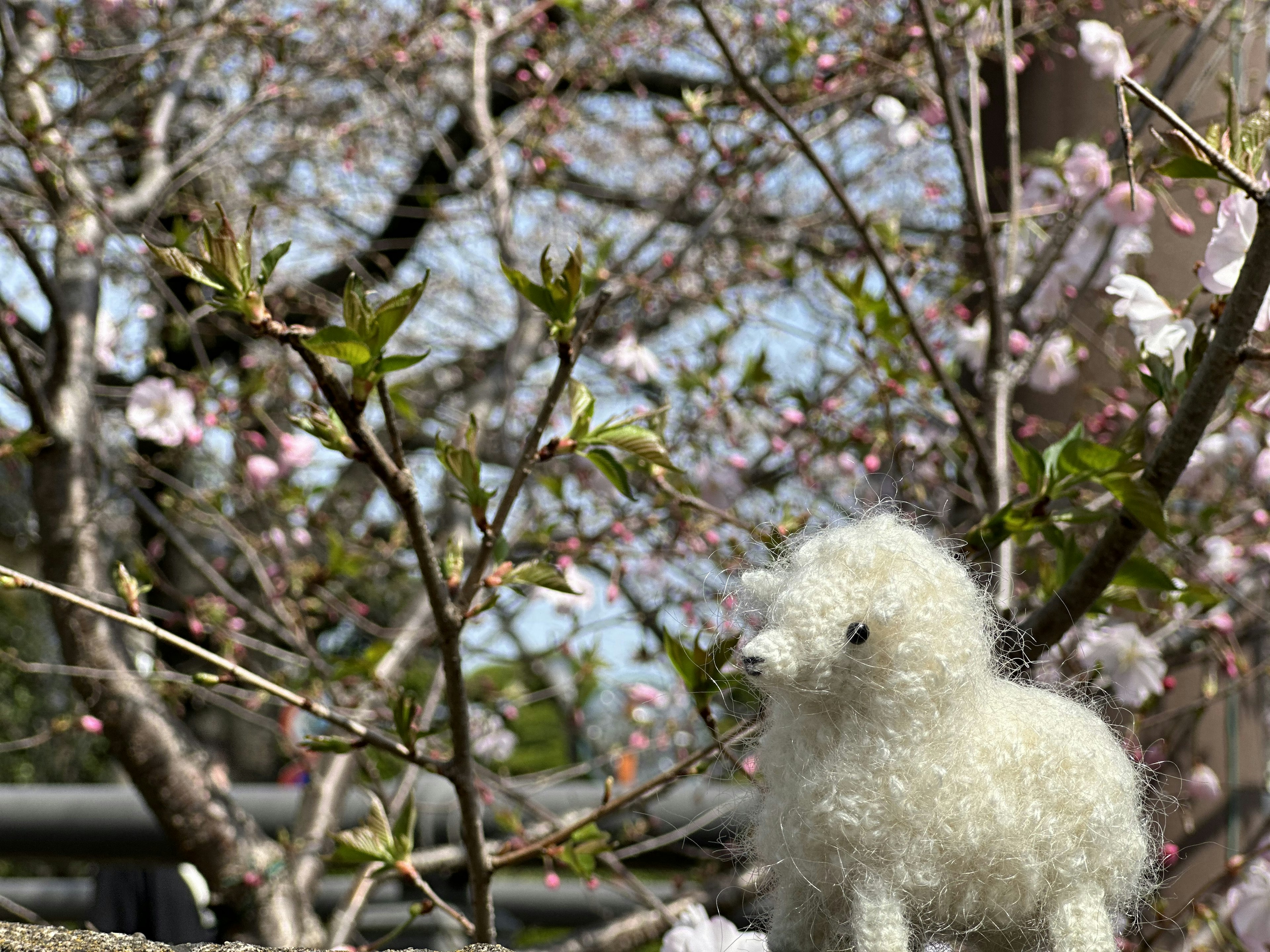 Un giocattolo di pecora bianca e pelosa davanti ai fiori di ciliegio