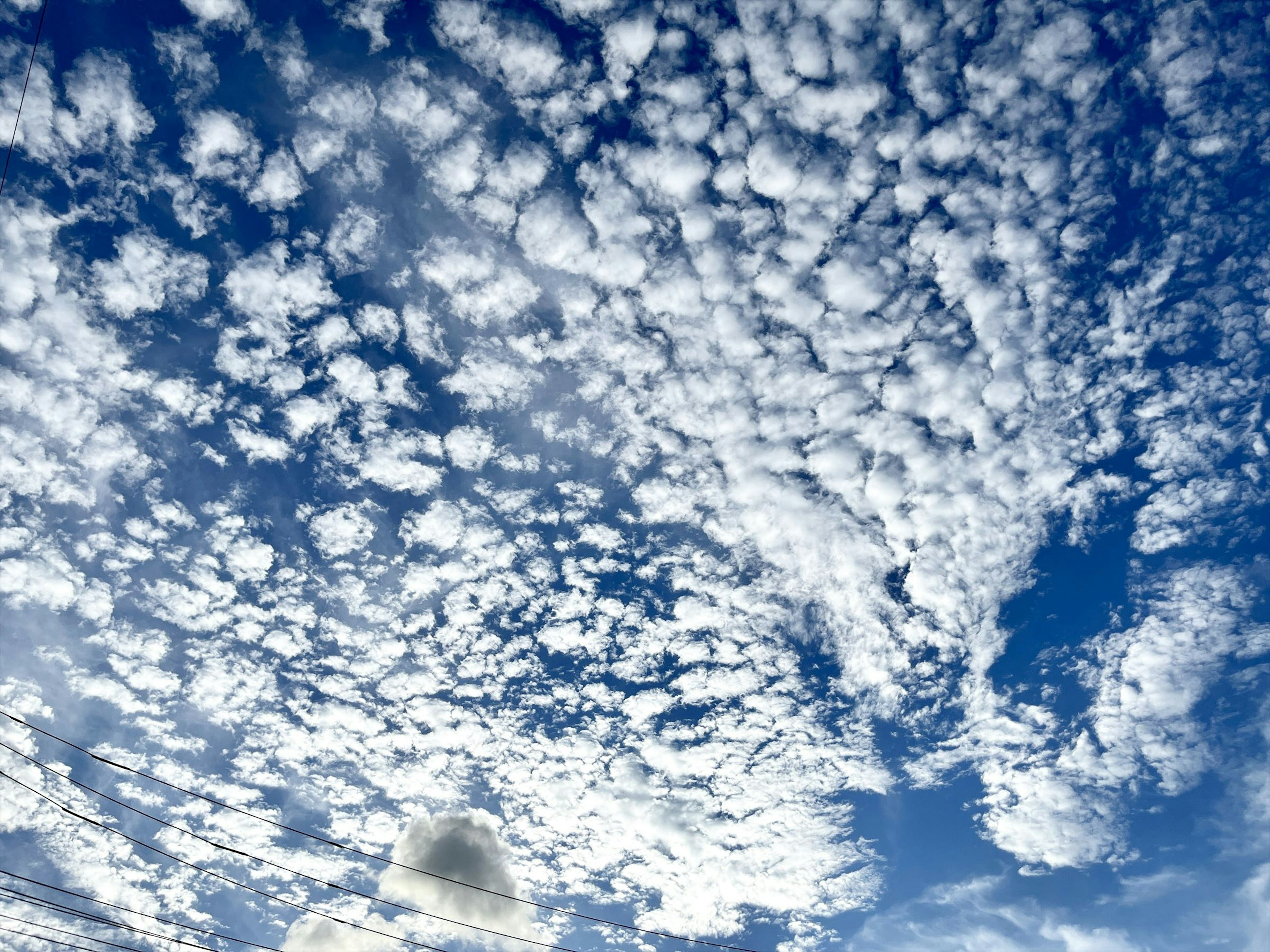 Pattern of white clouds against a blue sky