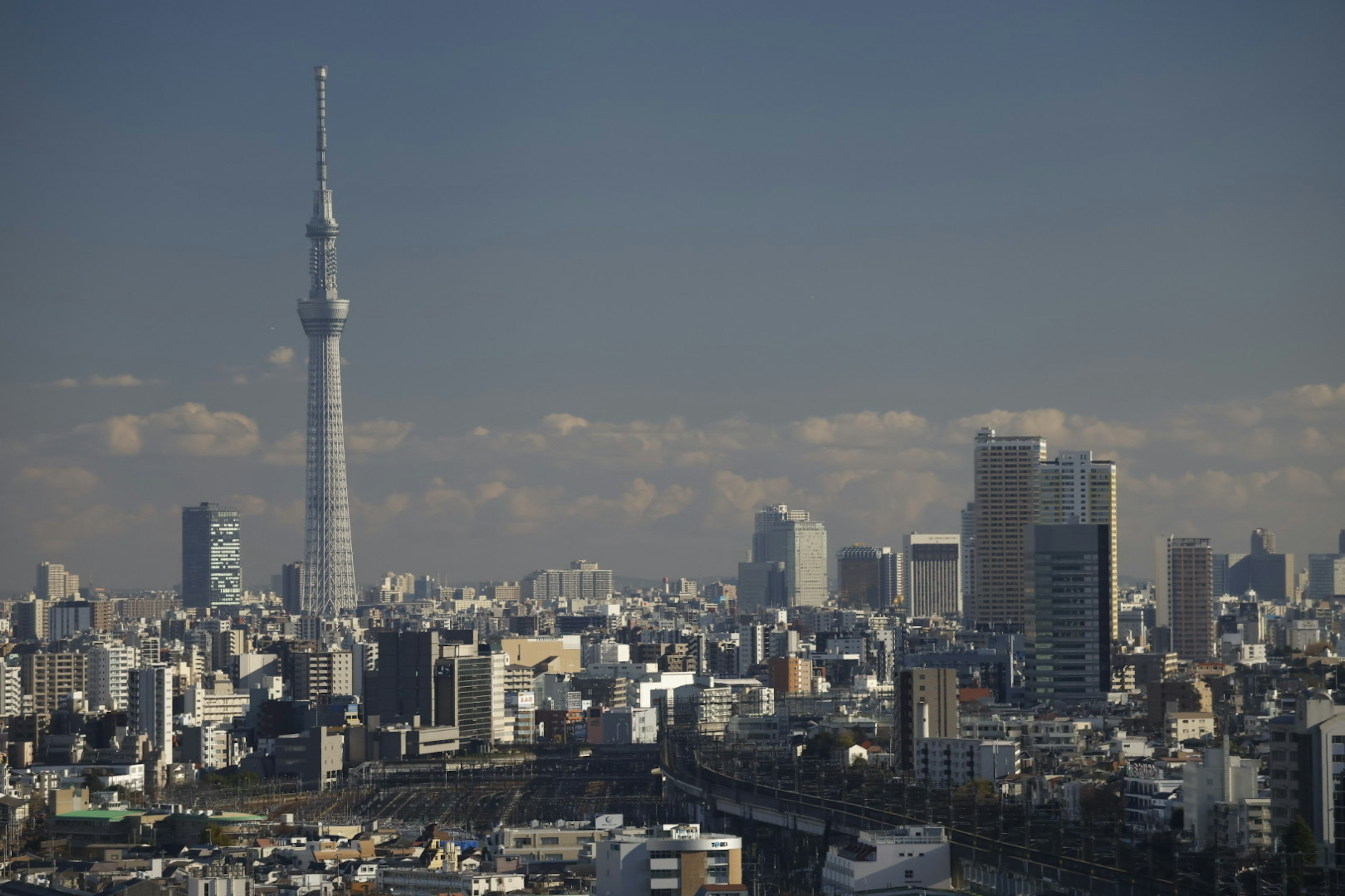 東京スカイツリーがそびえる都市の風景