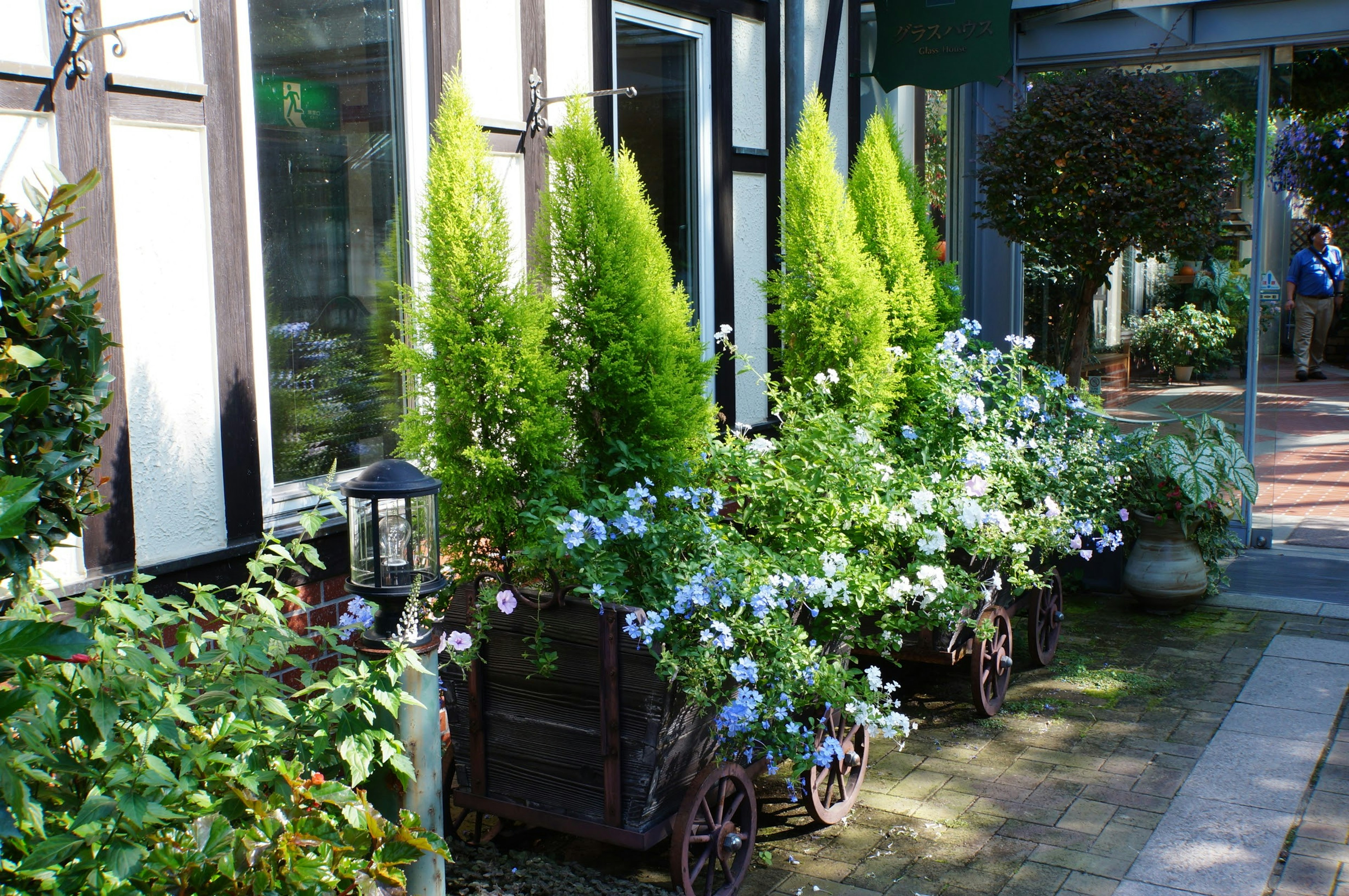 緑の植物と青い花が飾られたガーデンエリアの風景