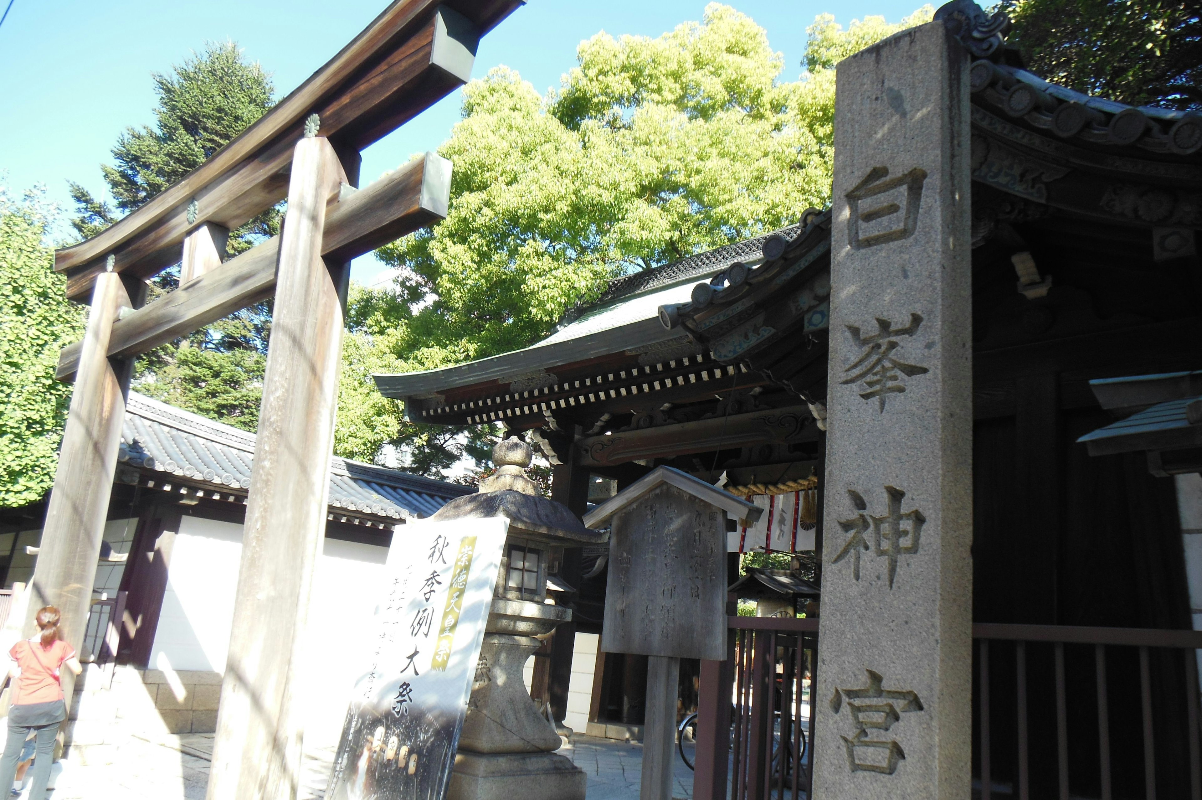 Vista del santuario Shiragiku con un torii e edifici del santuario