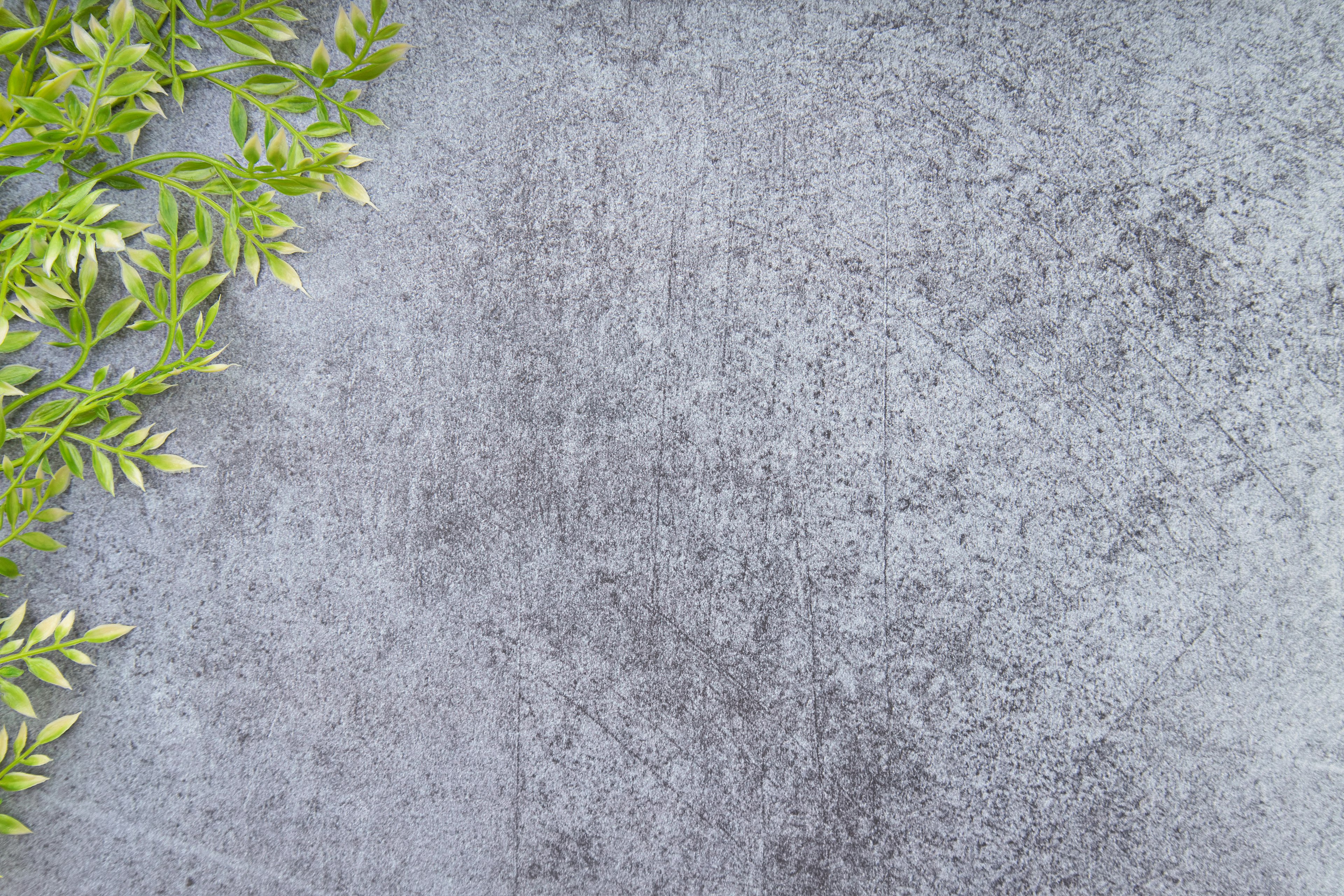 Simple composition with green leaves on a textured gray background