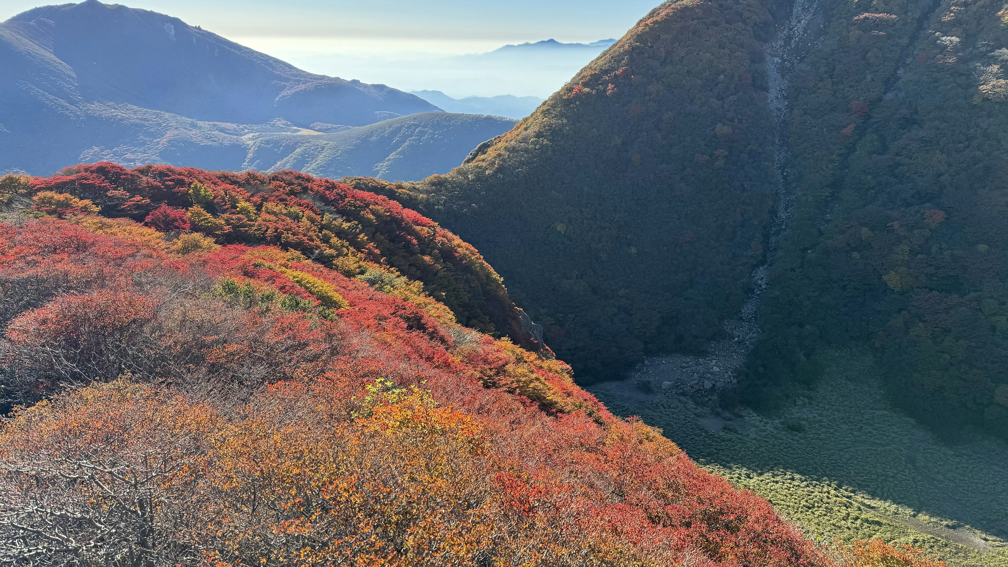 Vista panoramica di foglie autunnali colorate che coprono le montagne