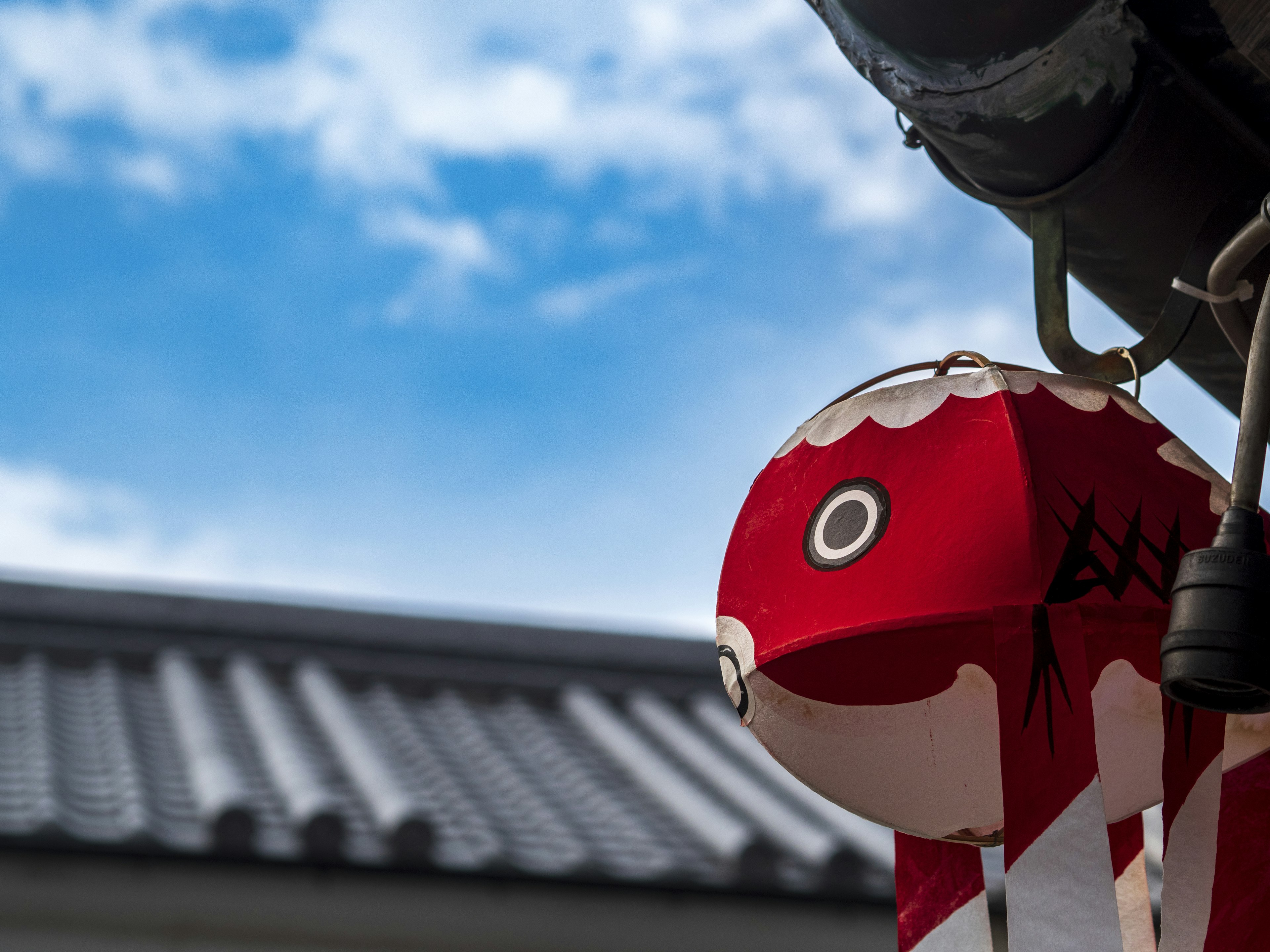 Red koi lantern hanging under a blue sky