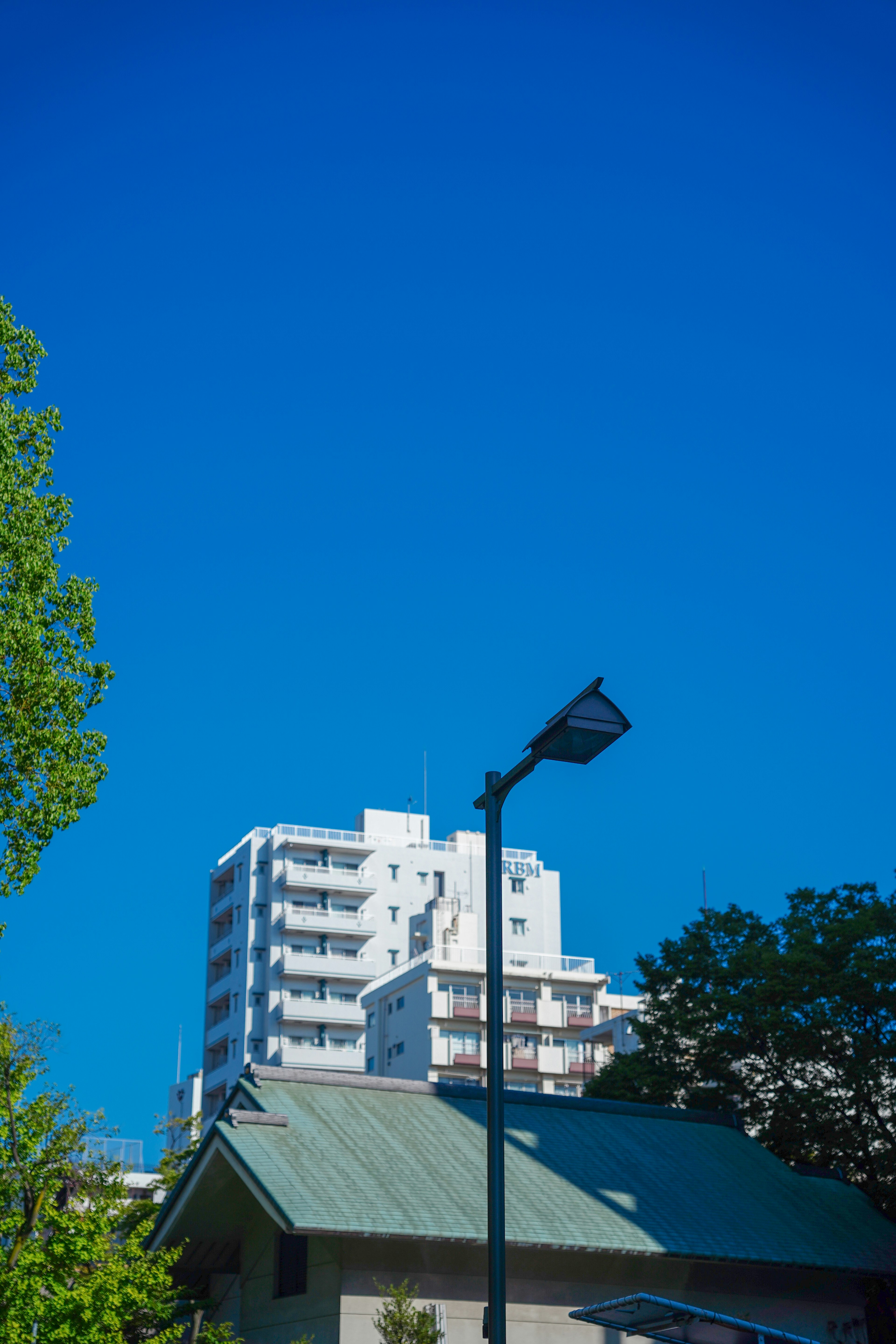 青空の下に高層ビルと緑の木が見える風景