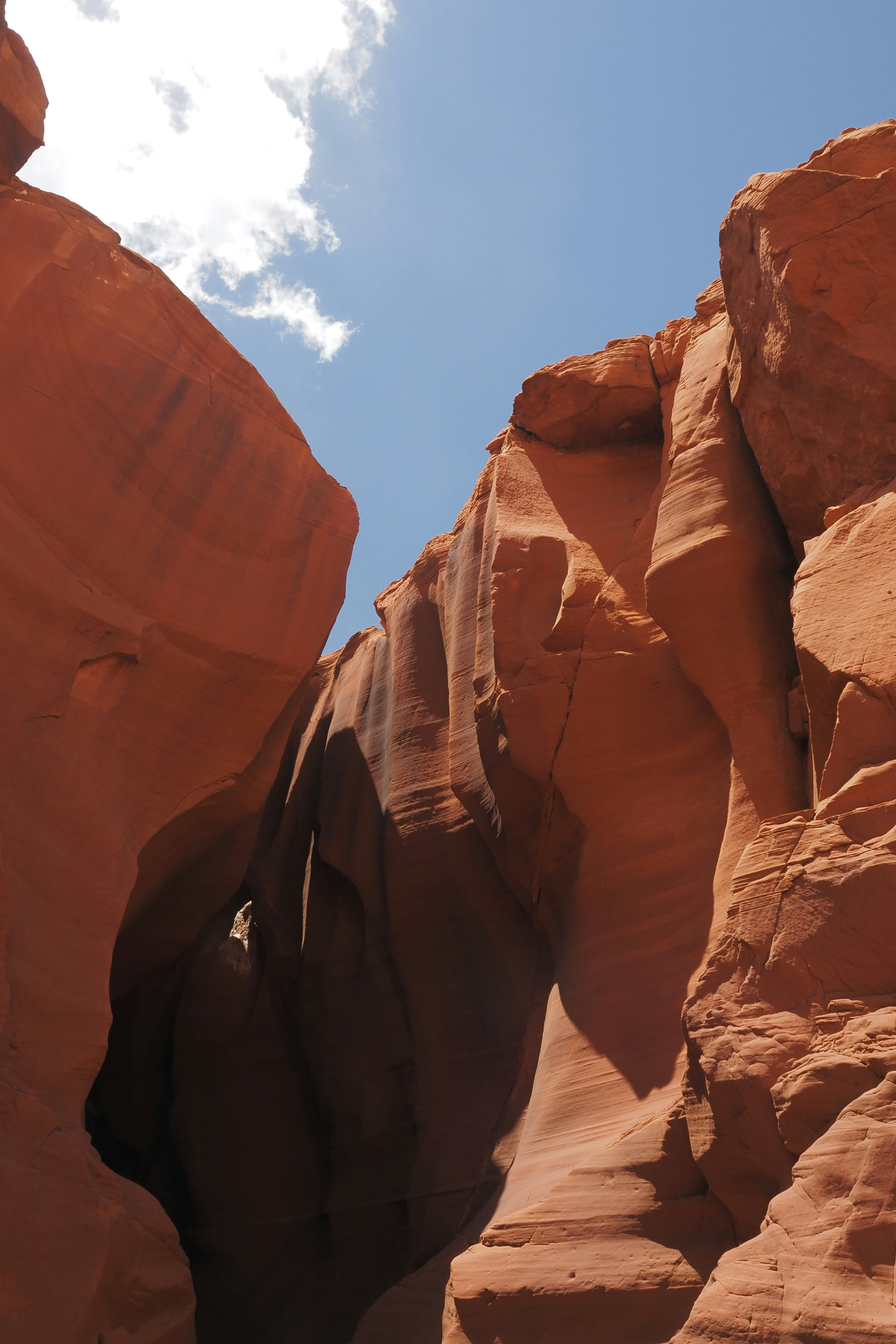 Aussicht auf eine rote Felsenschlucht mit blauem Himmel und weißen Wolken darüber