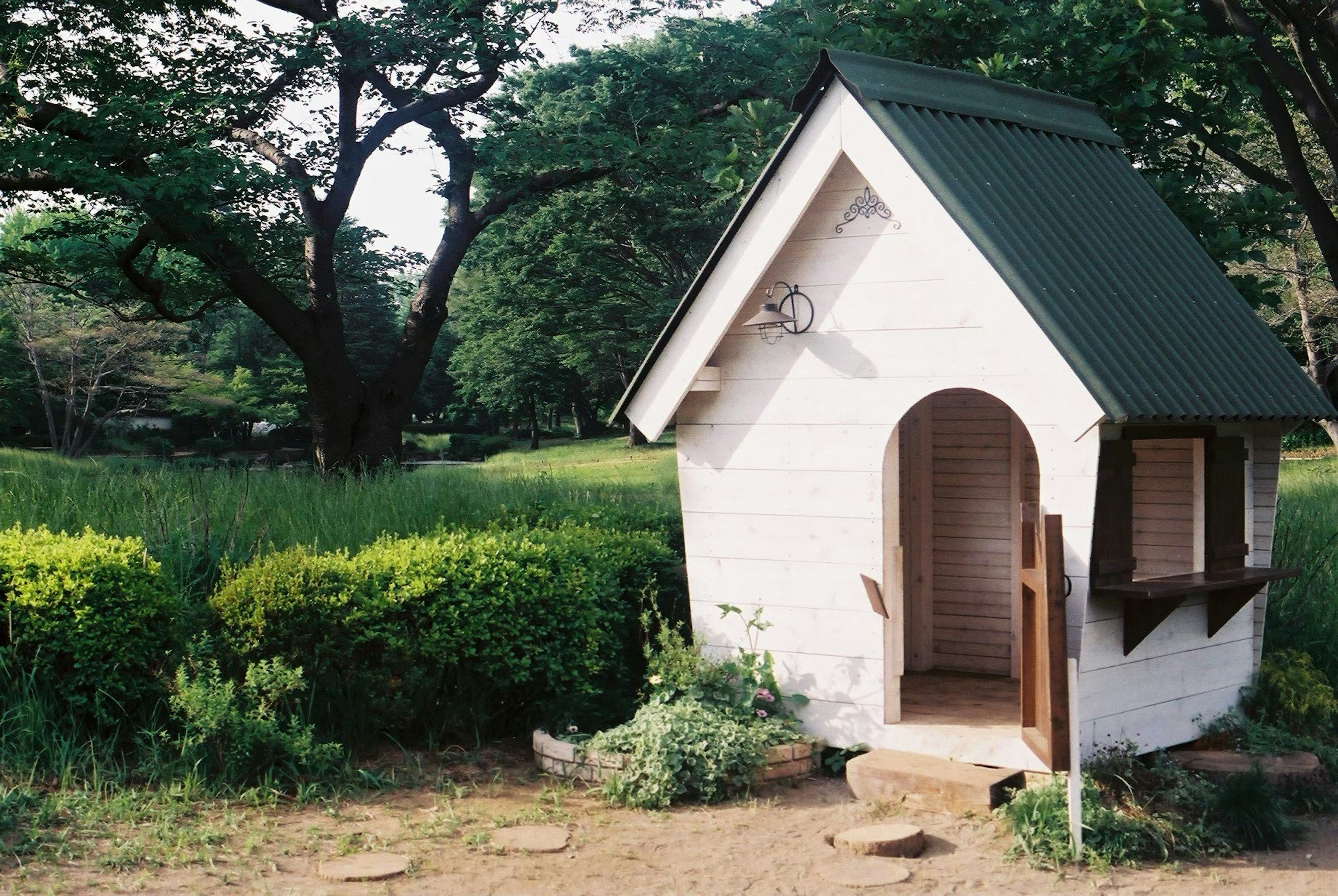 緑の木々に囲まれた小さな白い小屋