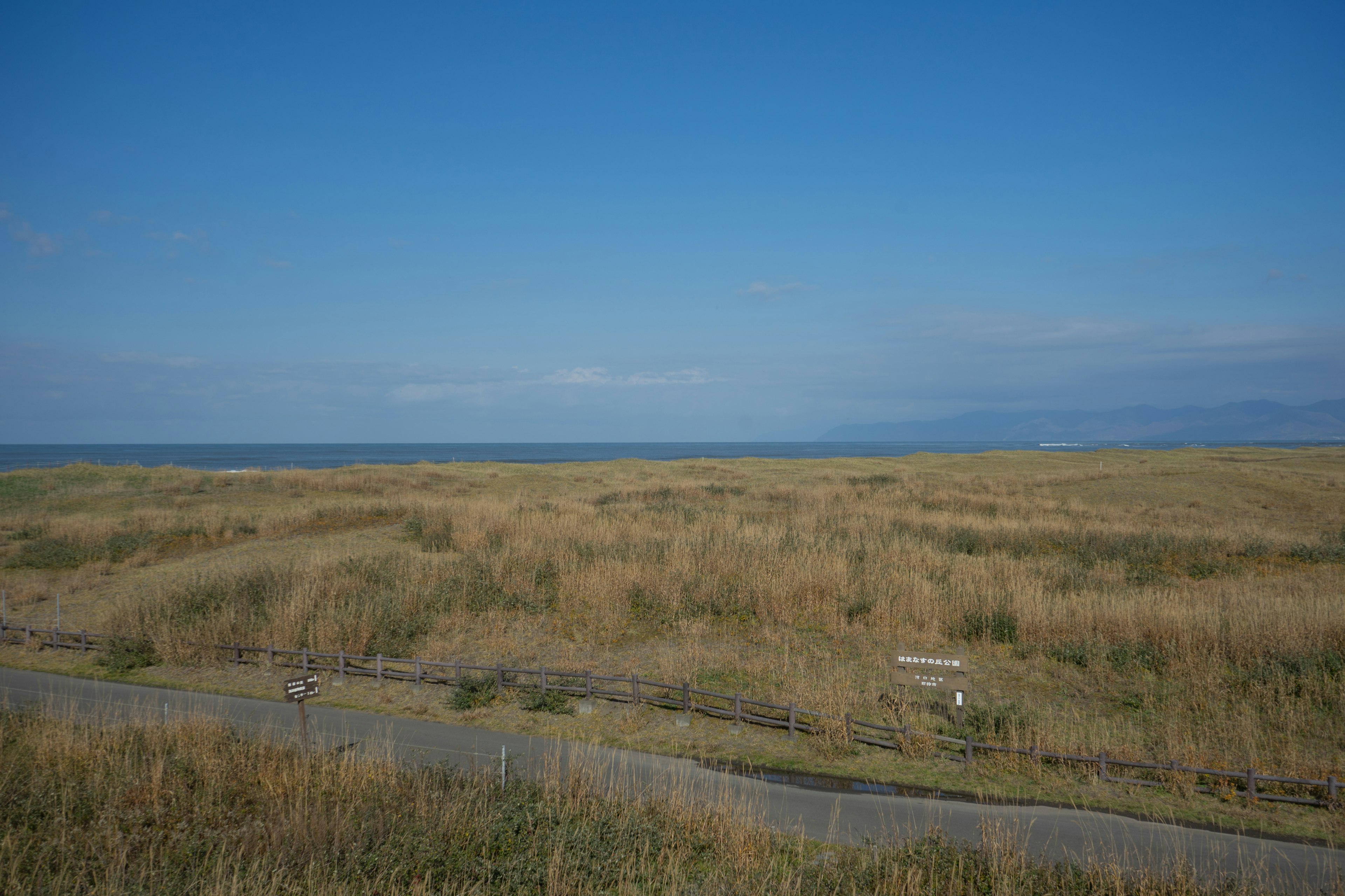 Expansive grassland and ocean view under a blue sky