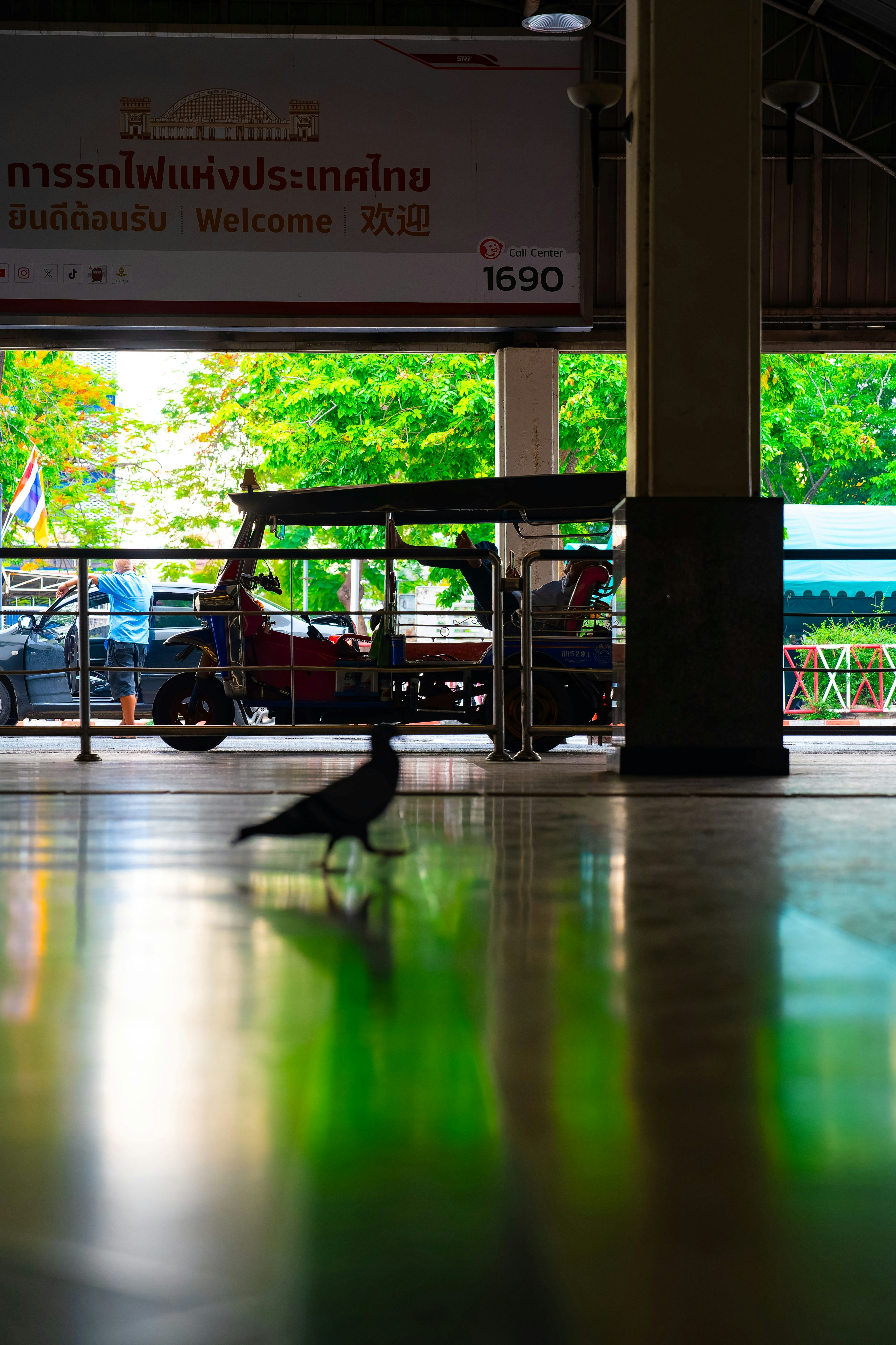 Seekor merpati yang melempar bayangan di lantai berwarna cerah dengan pohon hijau di latar belakang