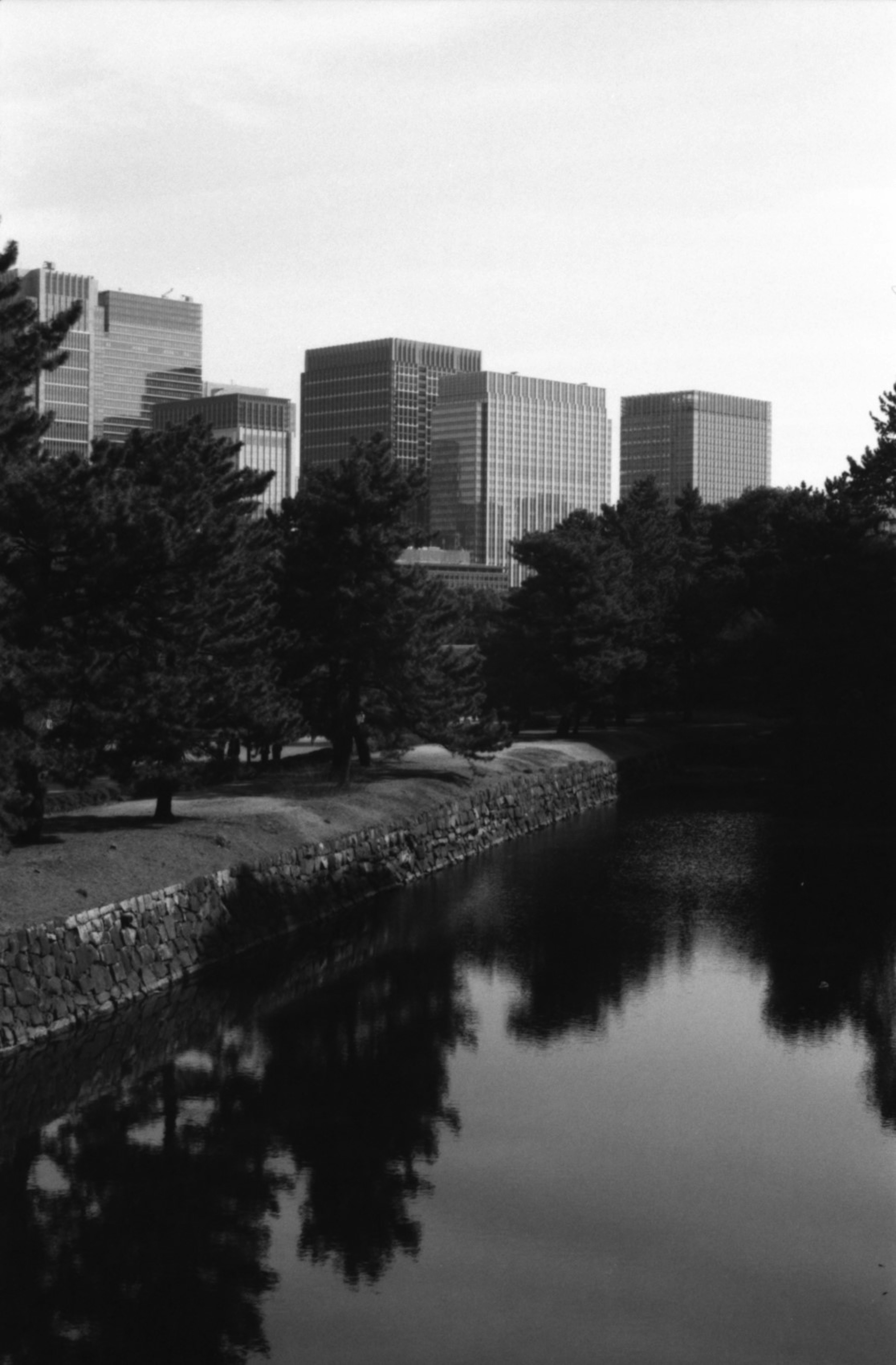 Black and white cityscape featuring buildings and silhouettes of trees