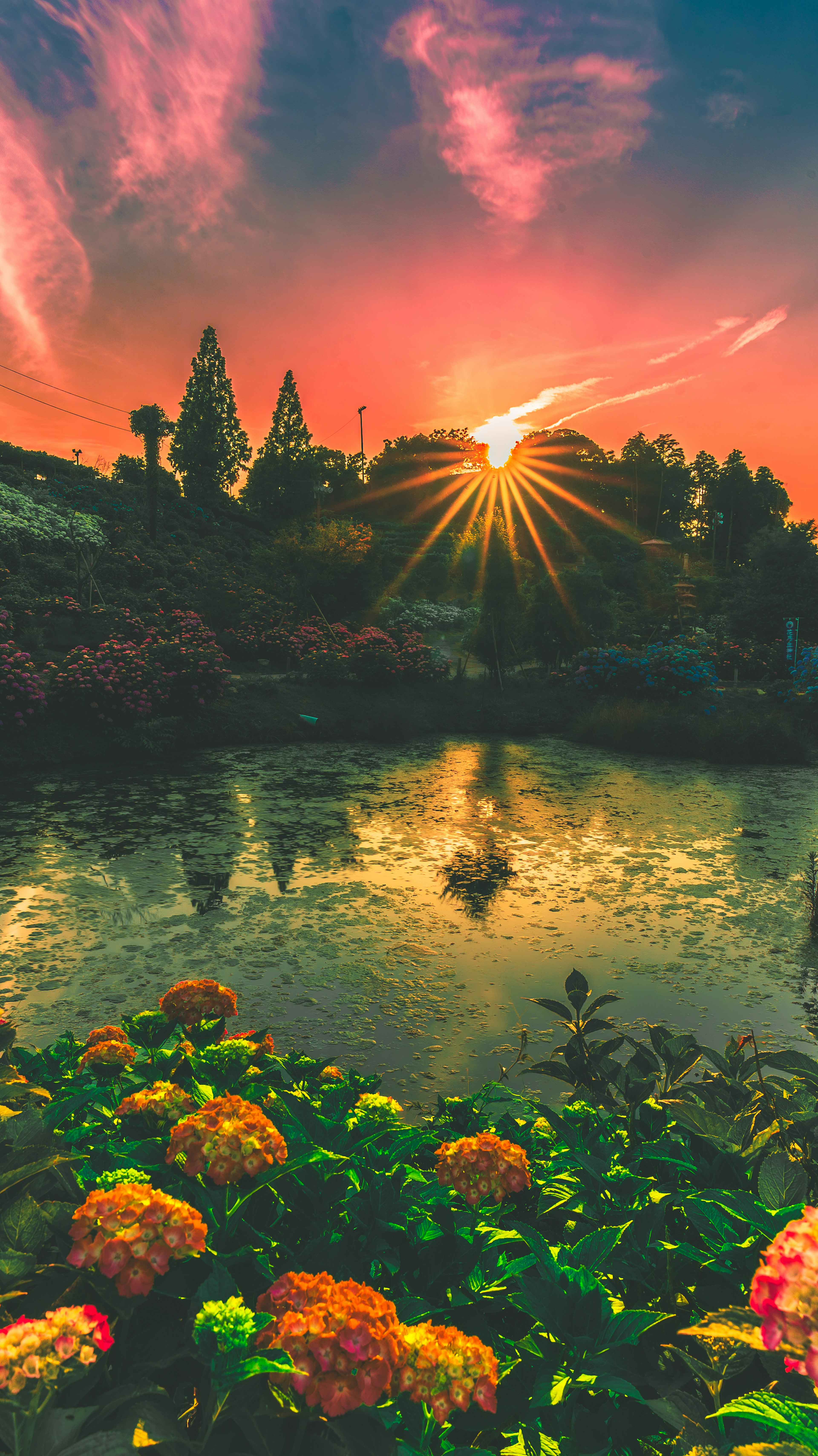 Beautiful sunset reflecting on a lake Colorful flowers blooming in the foreground