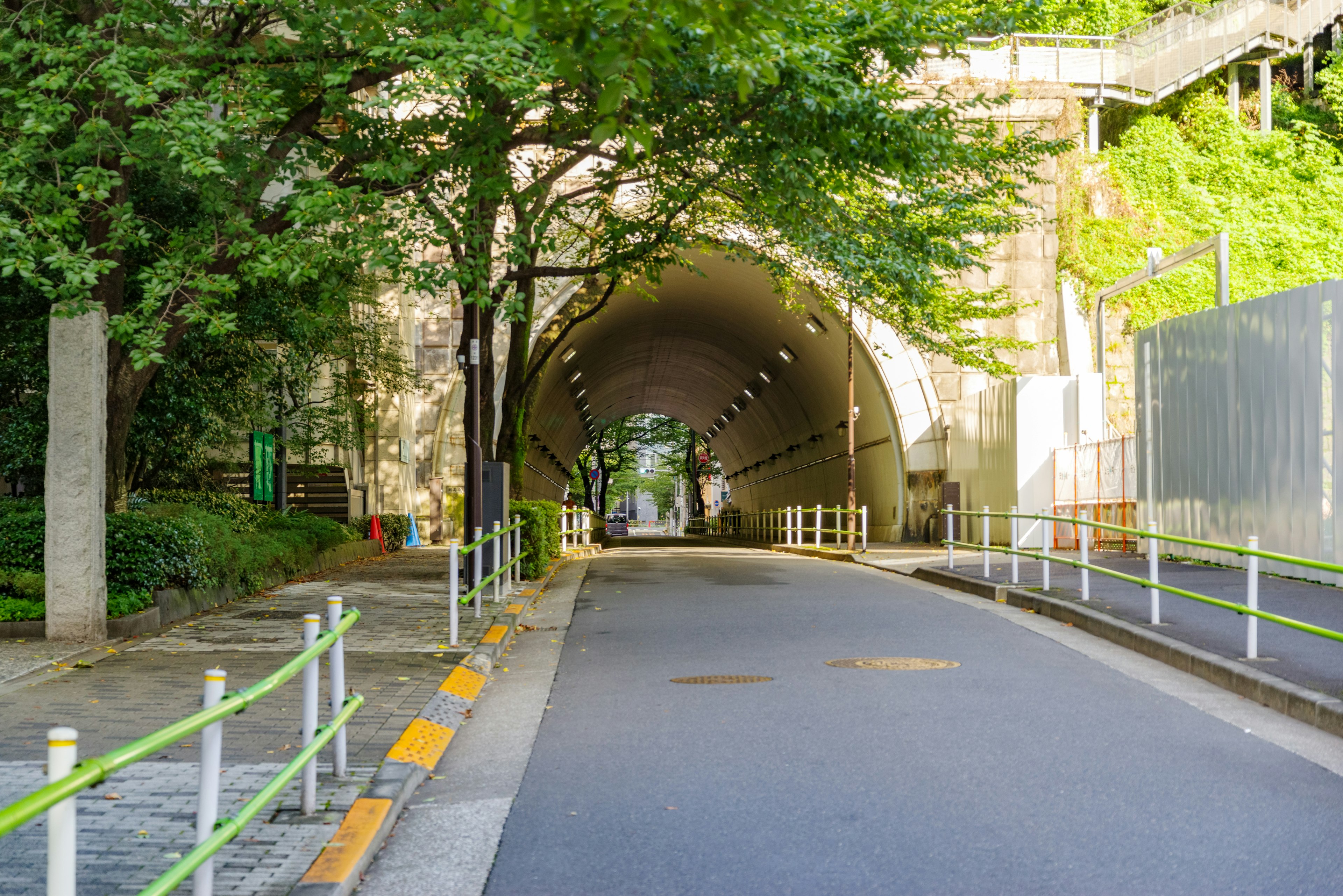 Eingang eines Tunnels umgeben von Grün mit einer gepflasterten Straße