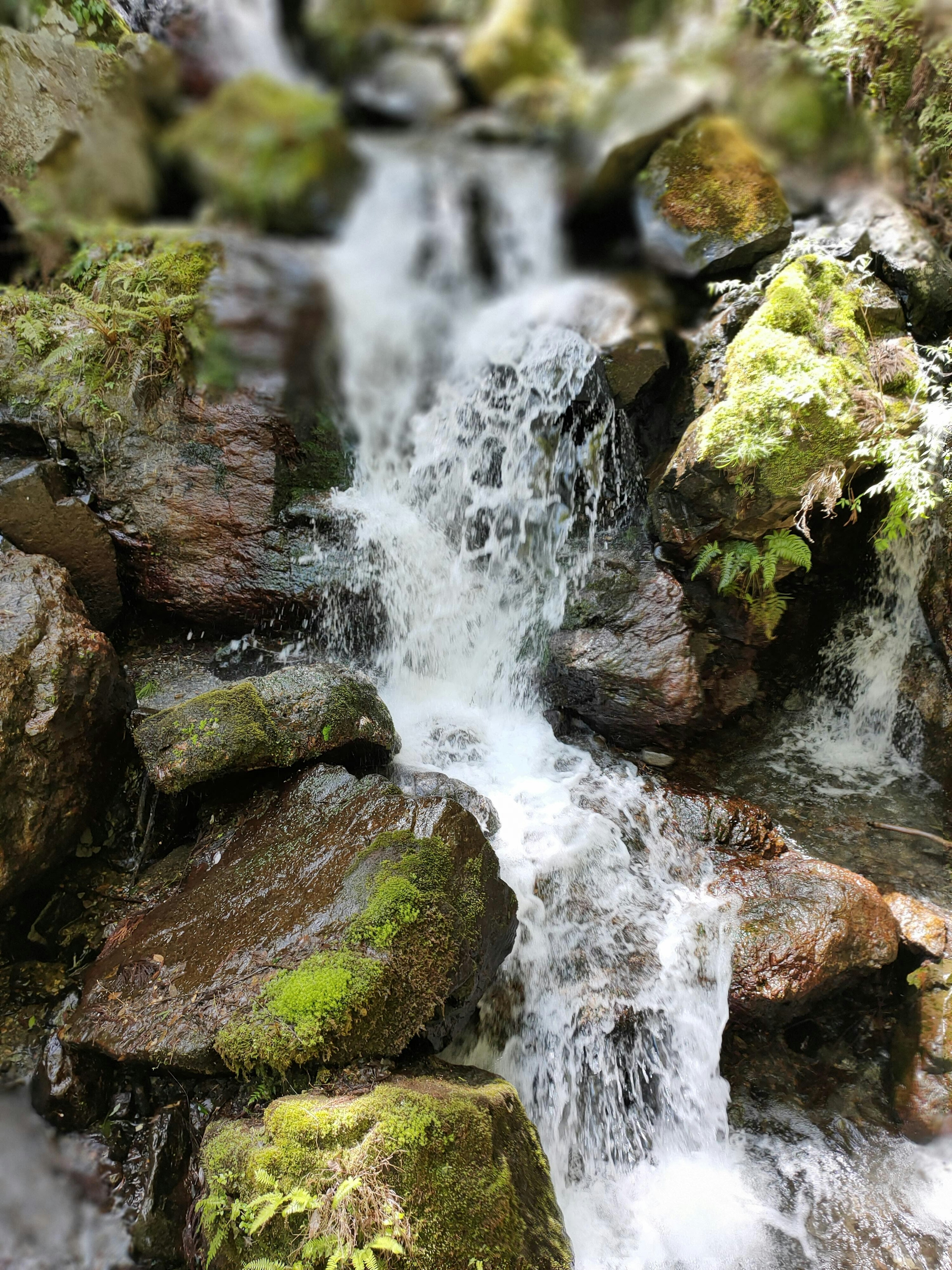 A stream flowing over rocks with green moss covering them