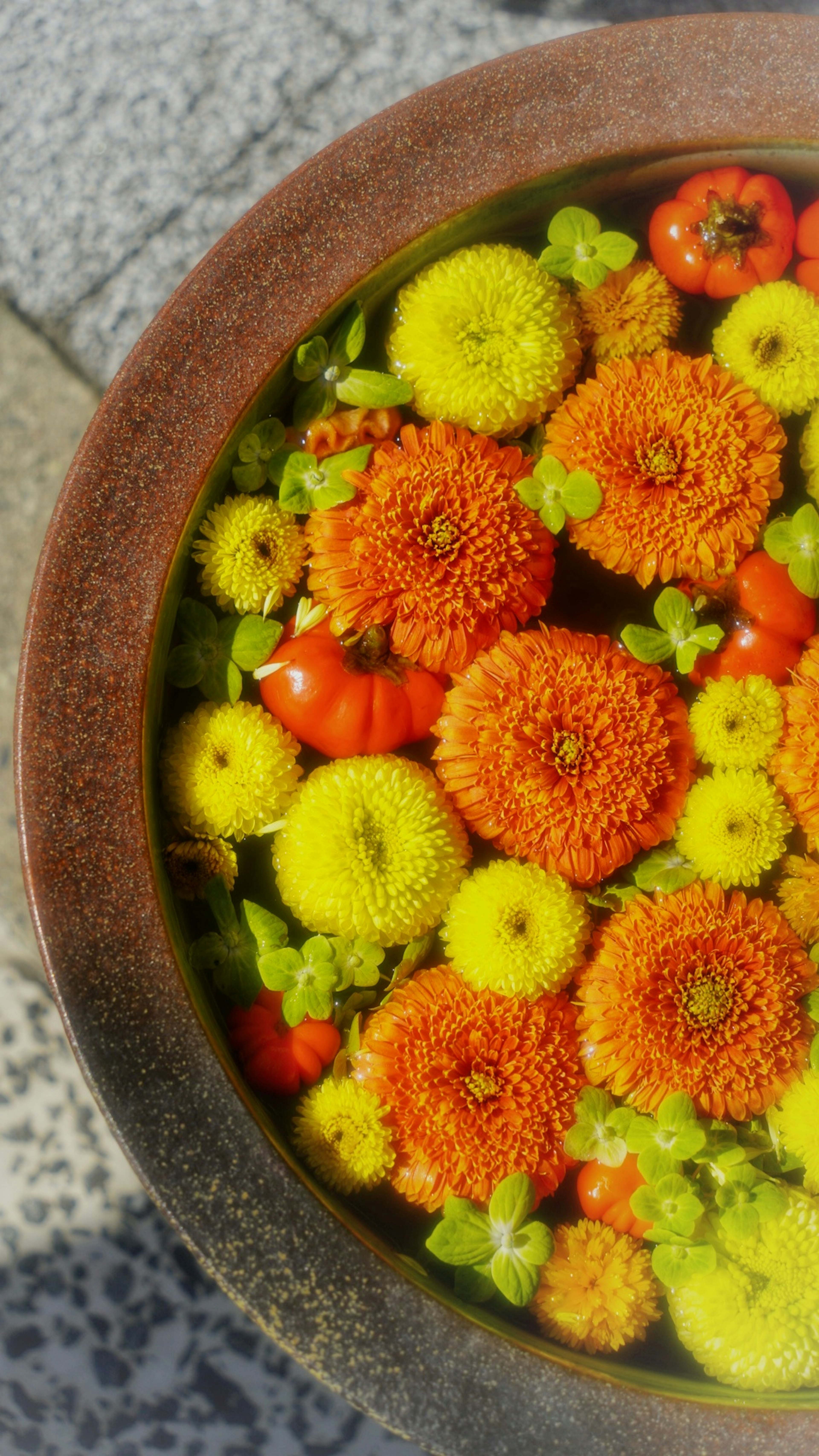 Bunte Blumen, die in einem Keramiktopf schwimmen