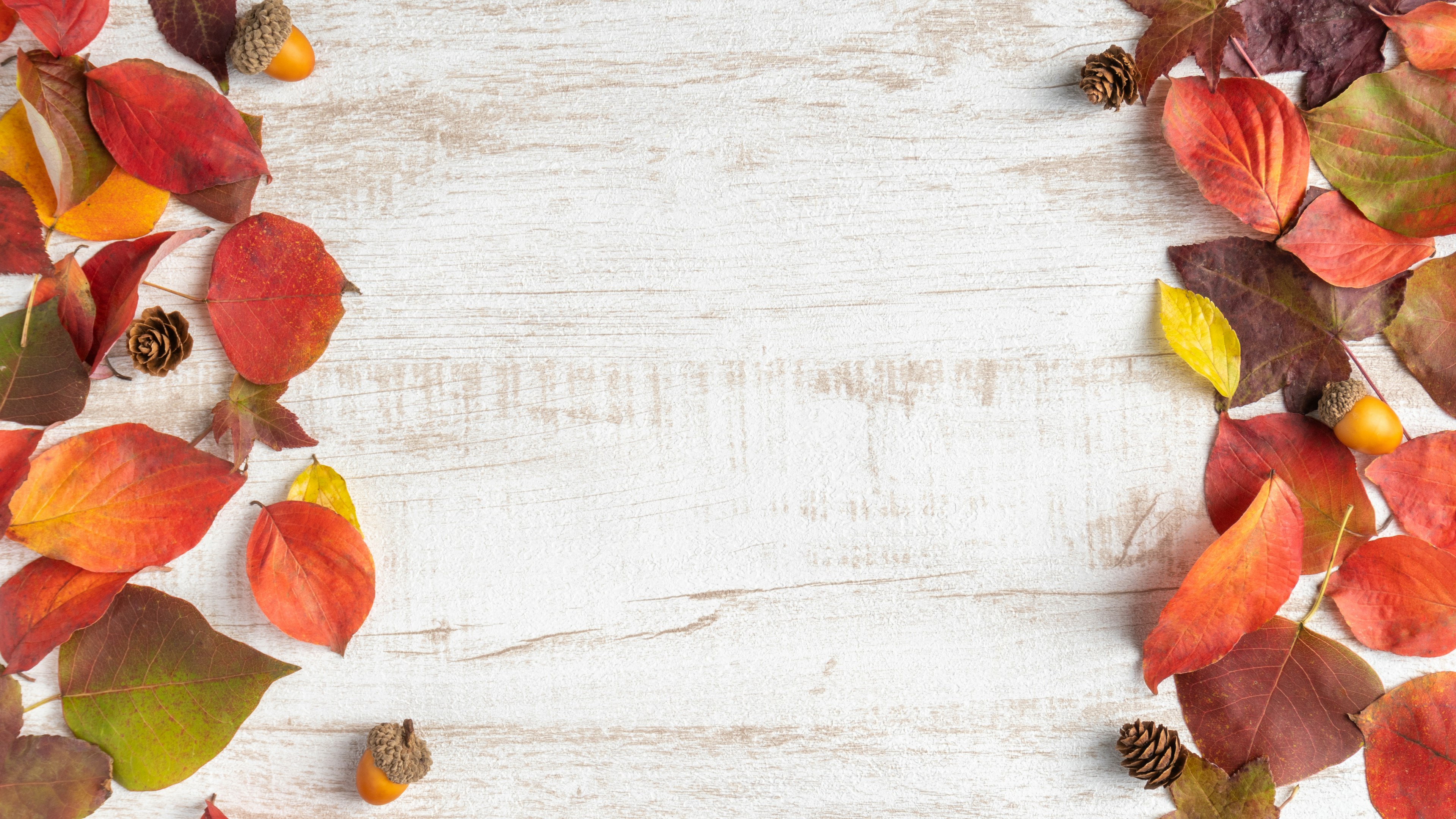 Bunte Herbstblätter auf einem weißen Holztisch verstreut