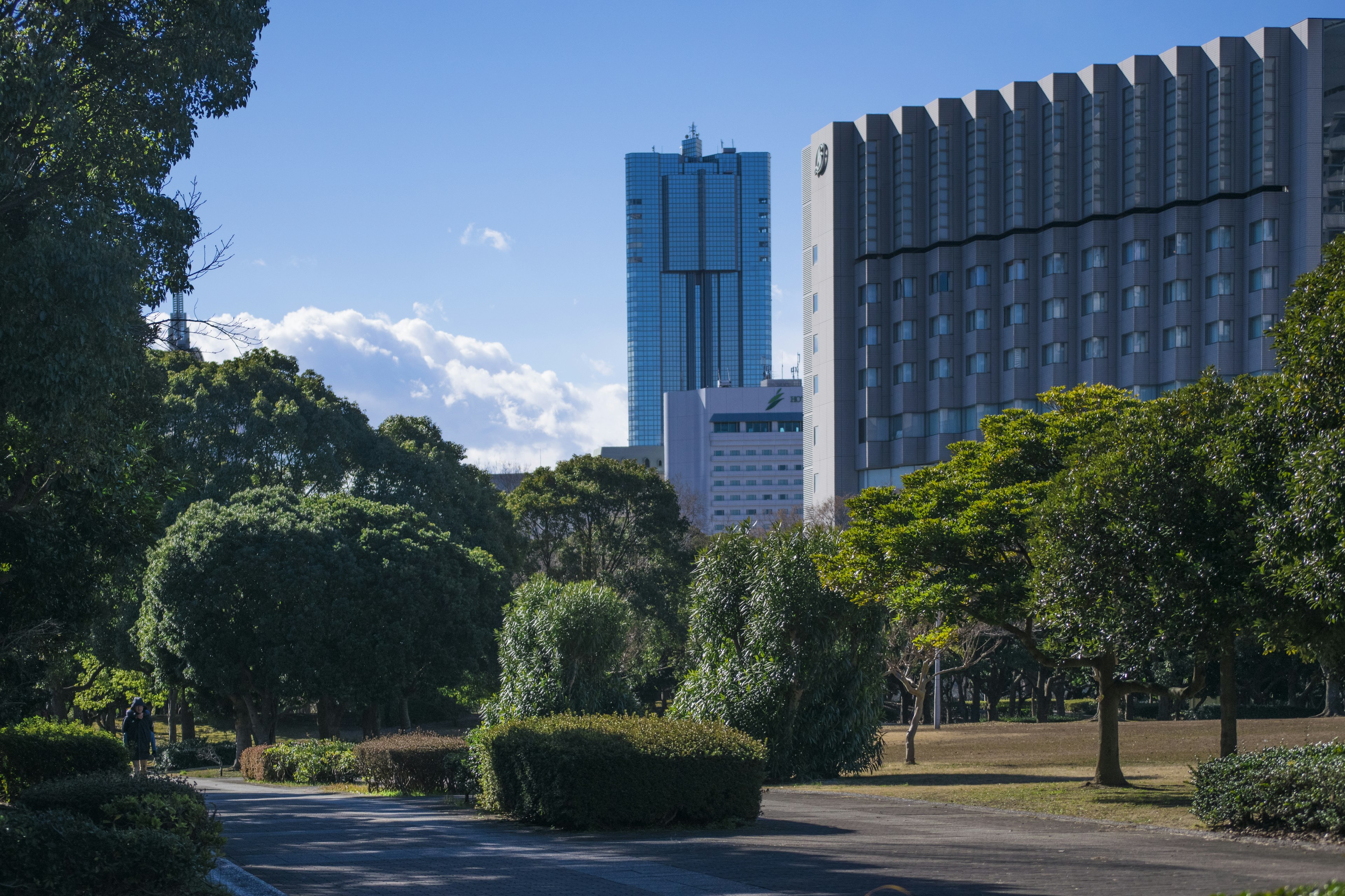 Pemandangan taman kota dengan pepohonan dan gedung pencakar langit modern