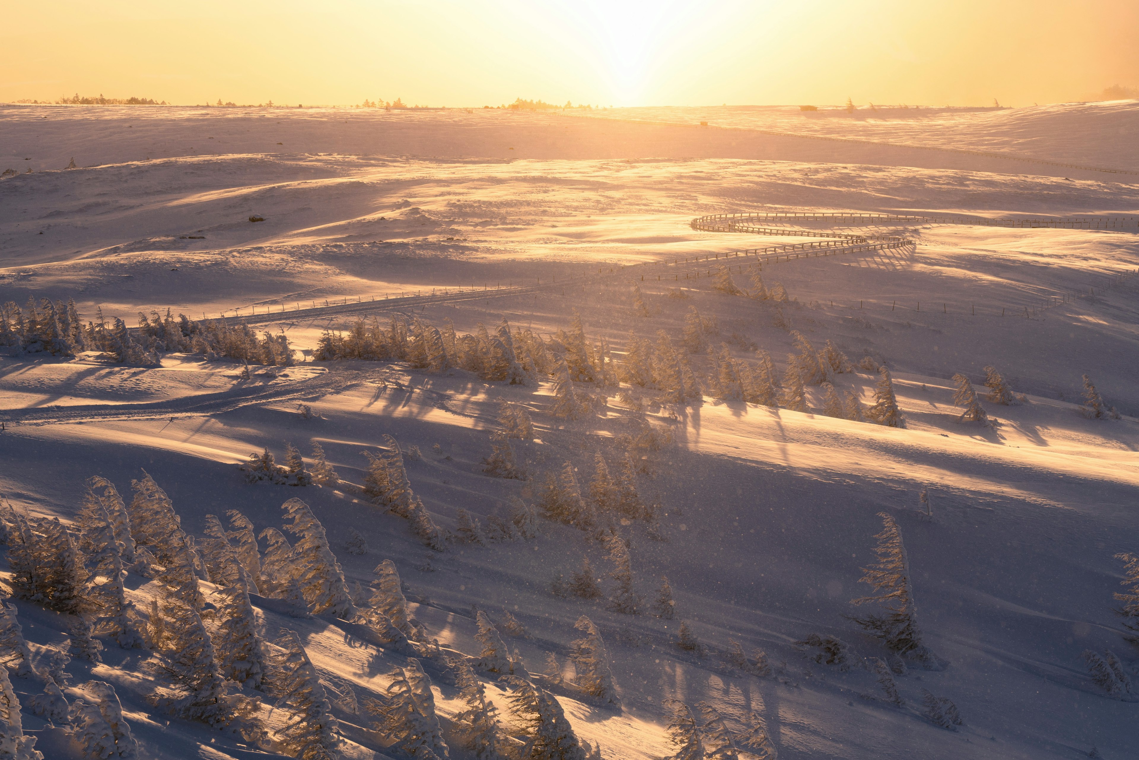 Snow-covered landscape with sunset silhouette