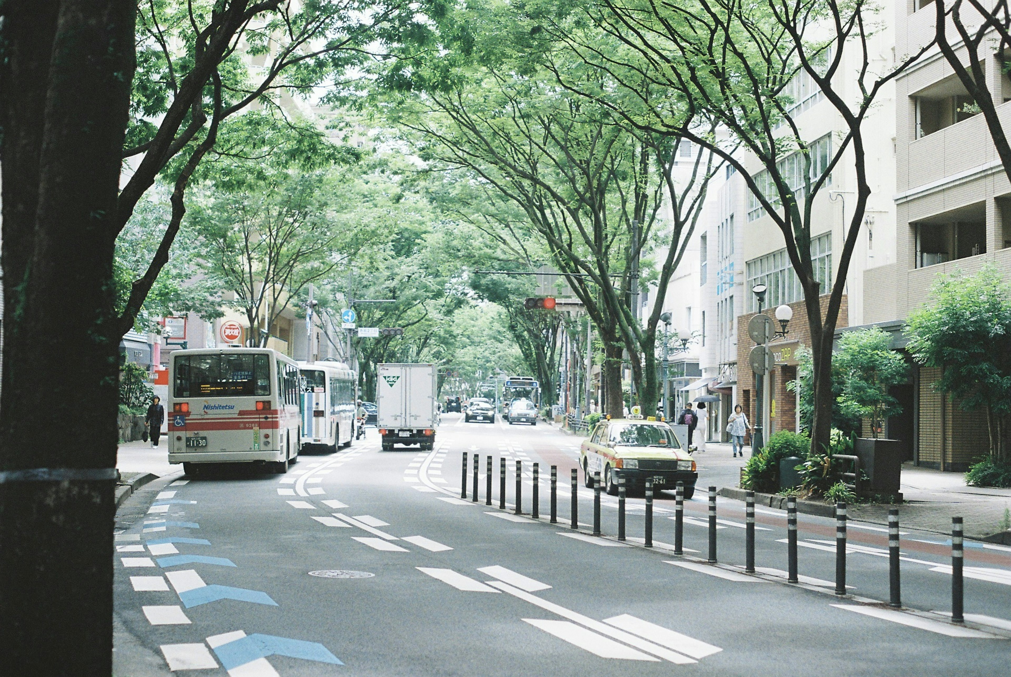 緑豊かな街並みの通りにバスとトラックが走っている