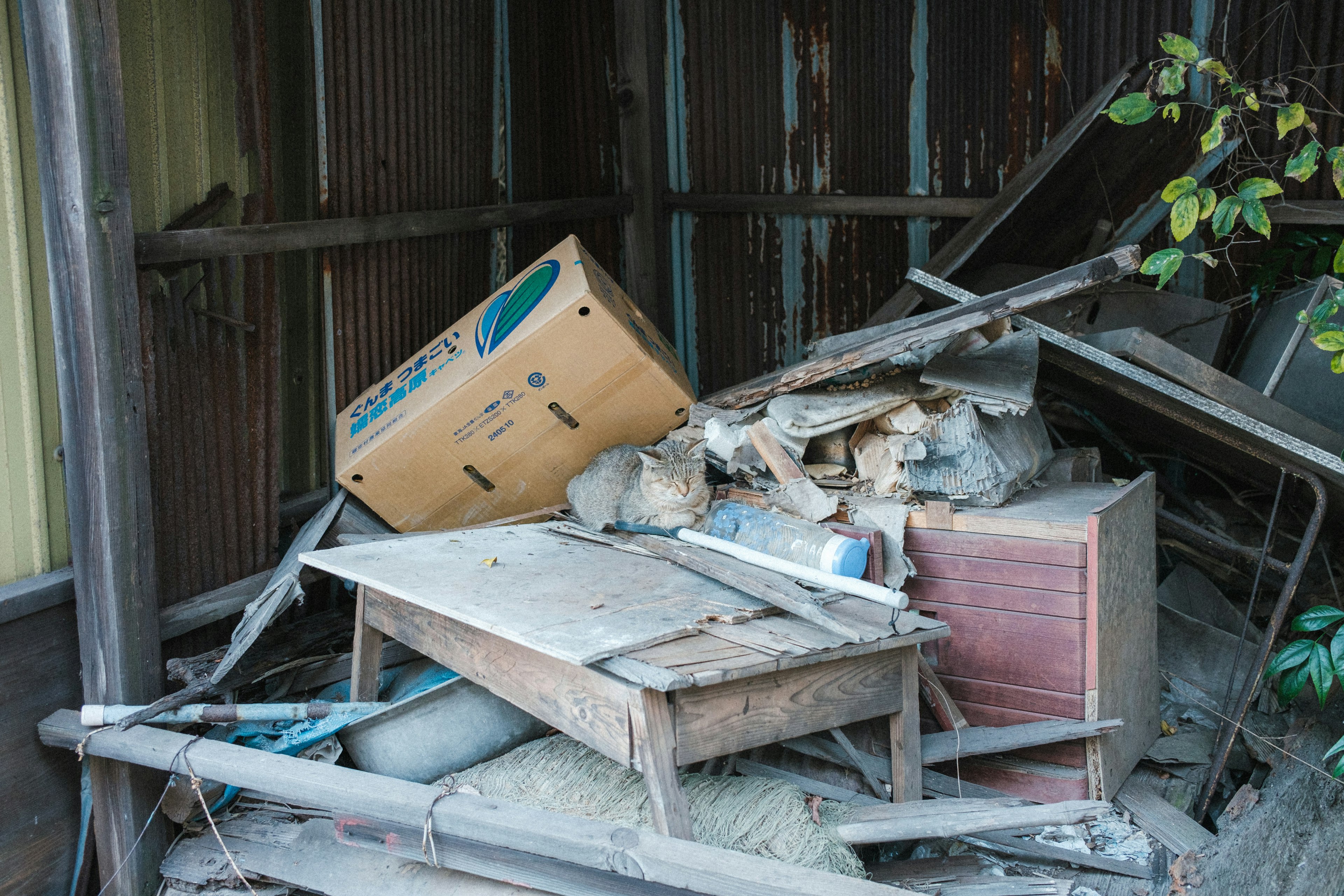 Photo of scattered furniture and cardboard boxes in a dilapidated space