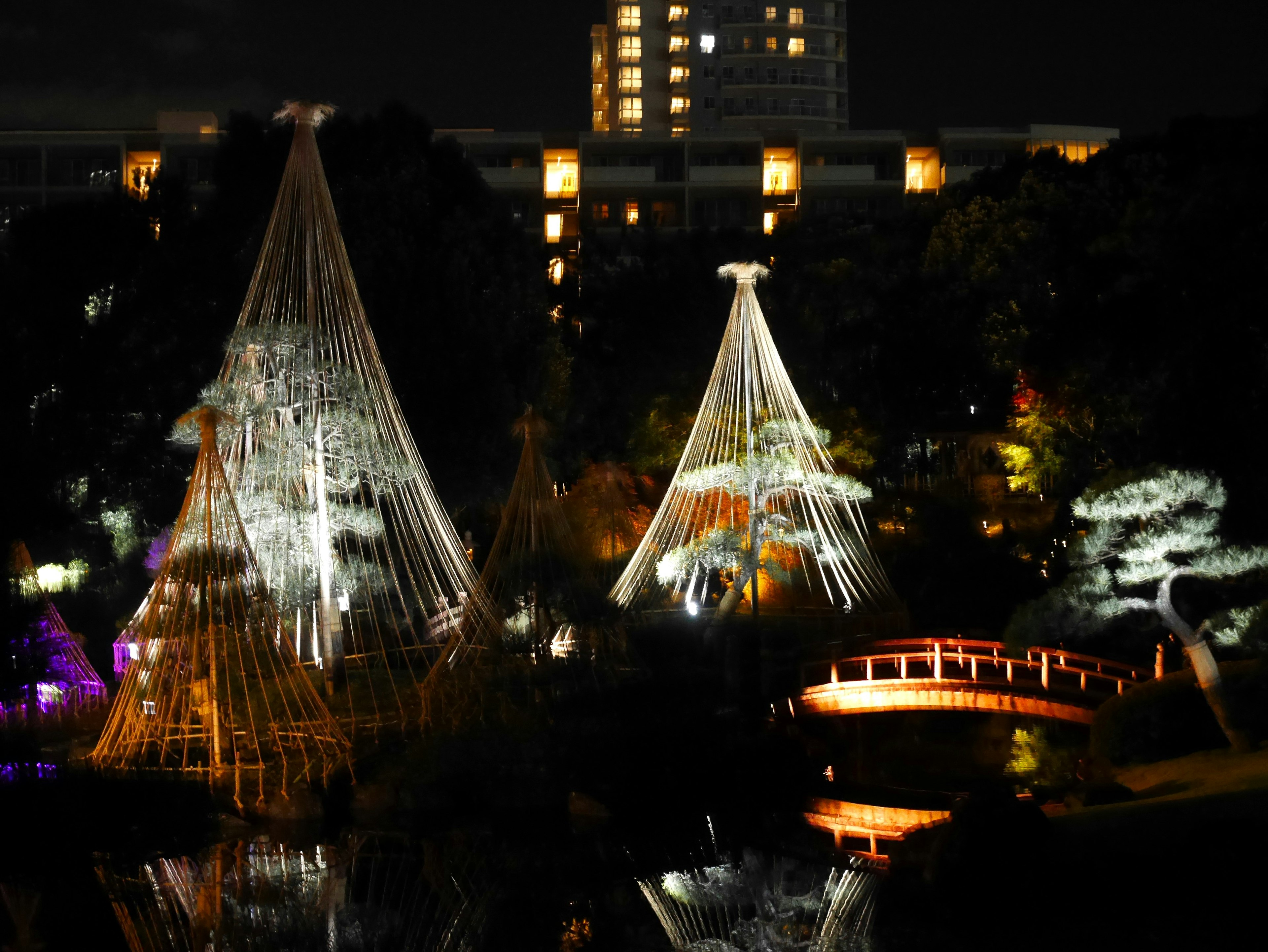 Estructuras de bambú iluminadas y puente en un jardín japonés de noche