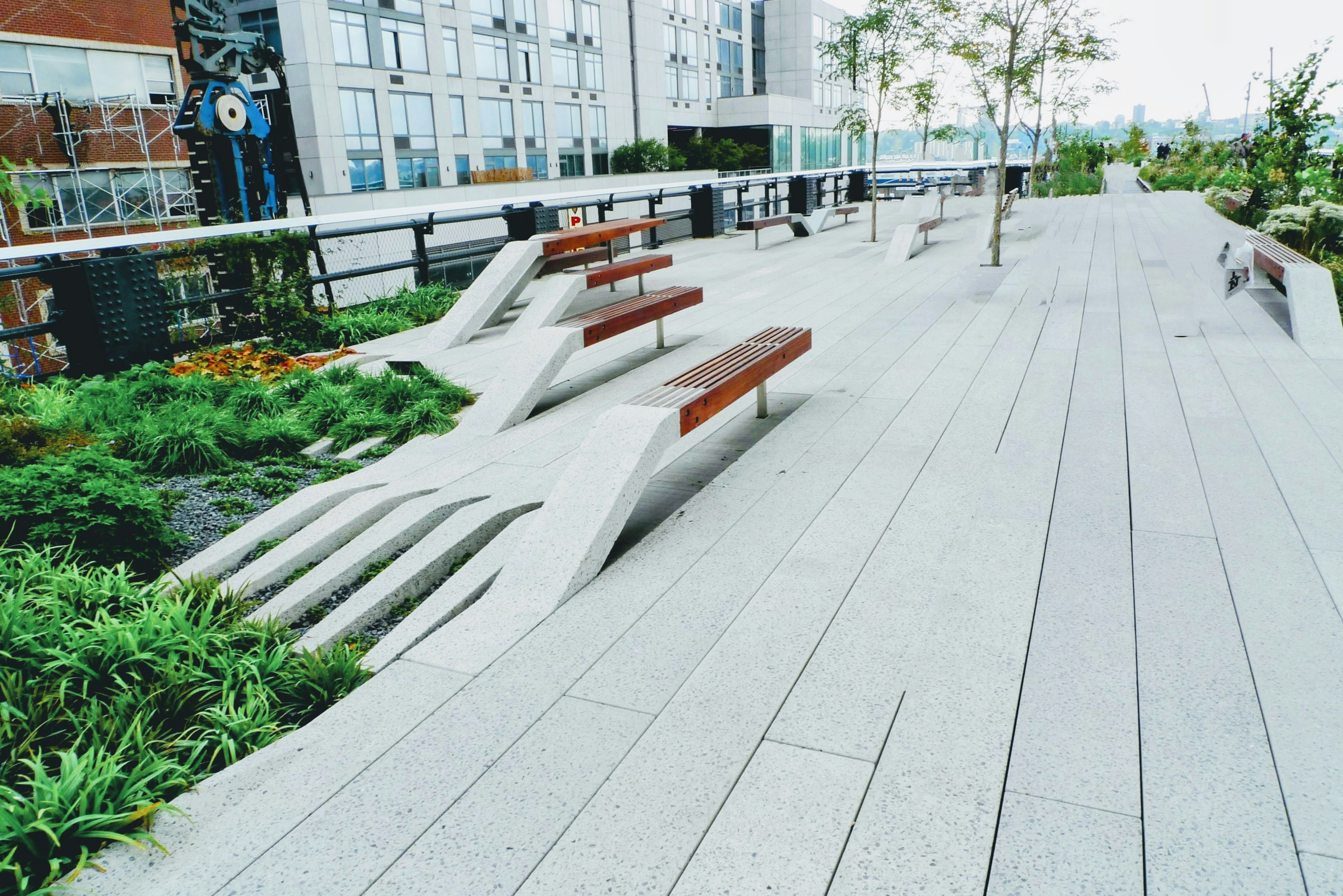 Unique designed benches on a lush walkway