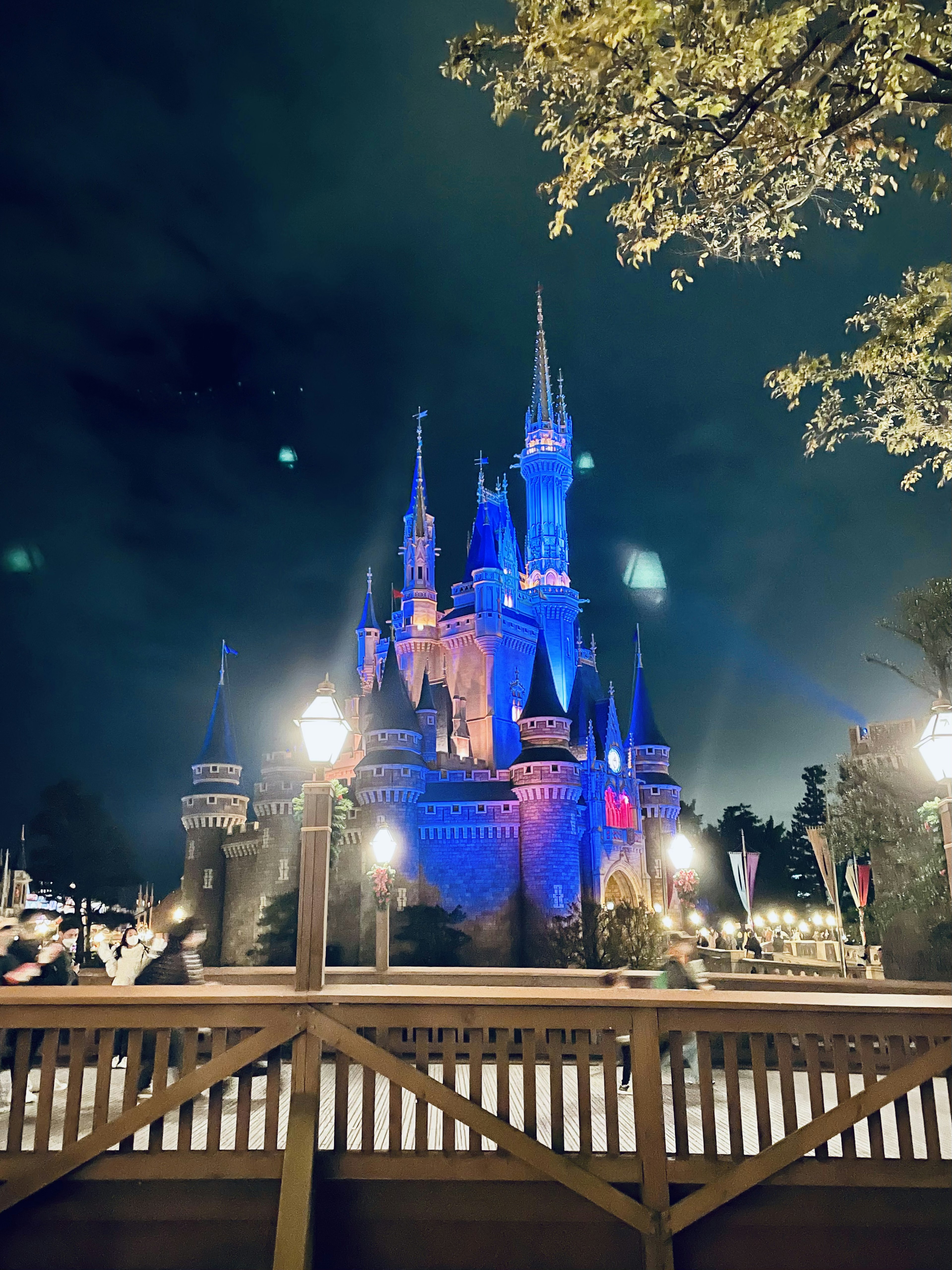 Schloss in Disney-Farben bei Nacht beleuchtet