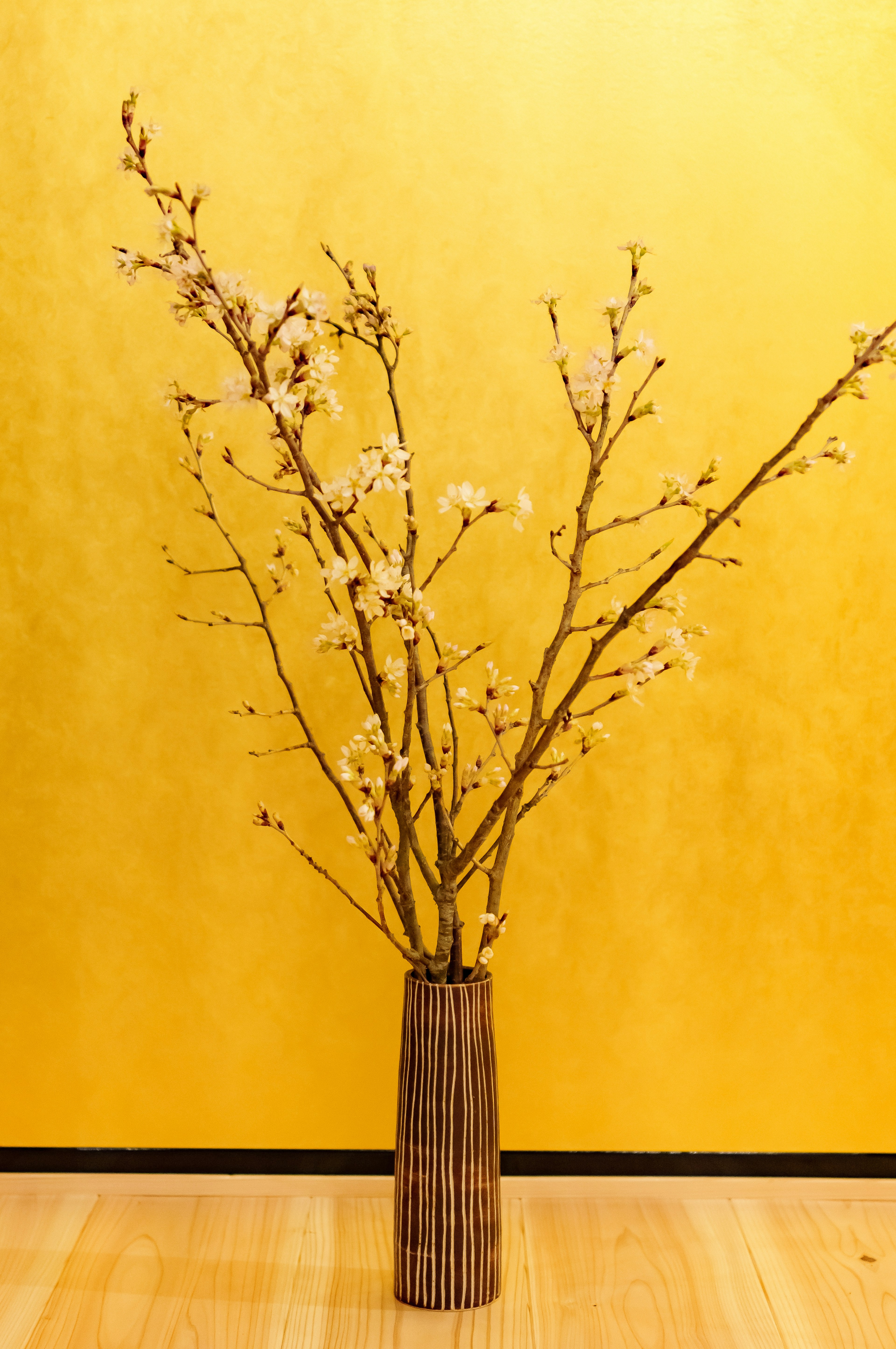 Vase with flowering branches against a yellow background